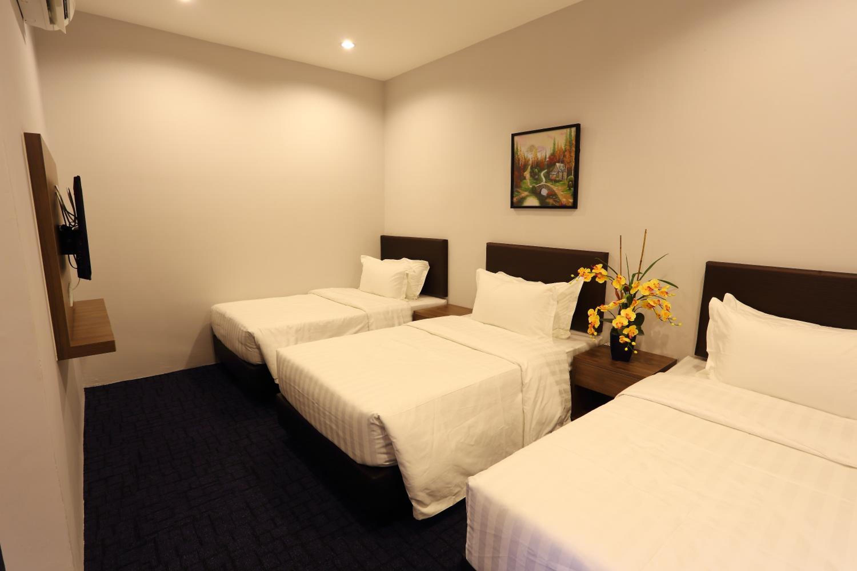 Deluxe Triple Room photo 3