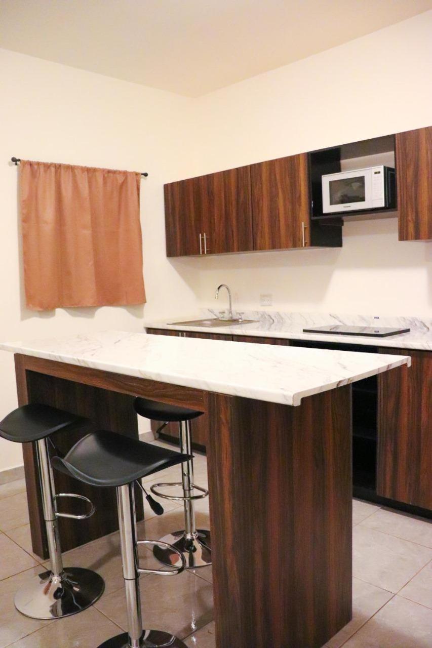 One-Bedroom Apartment photo 3