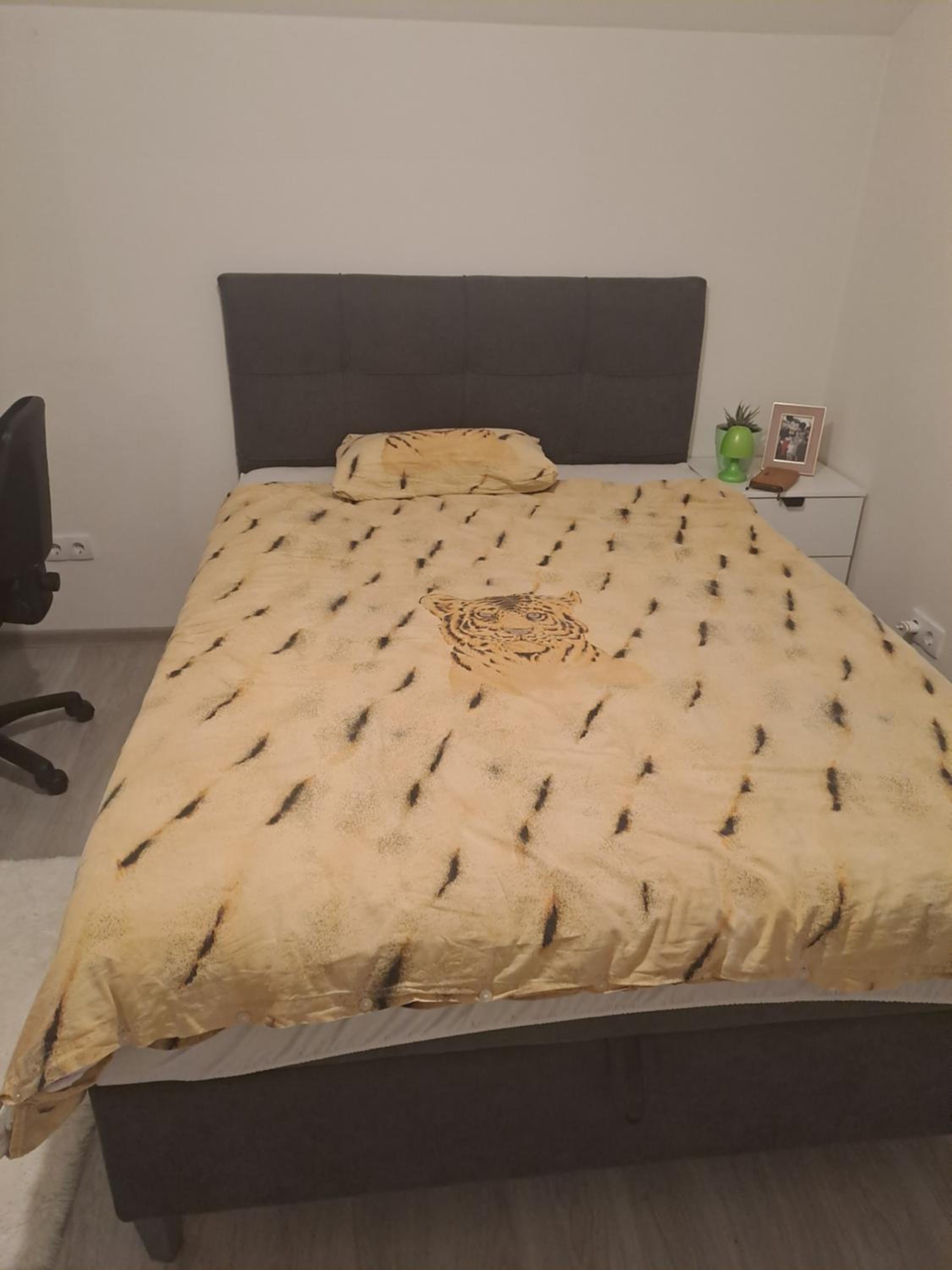Four-Bedroom House photo 2