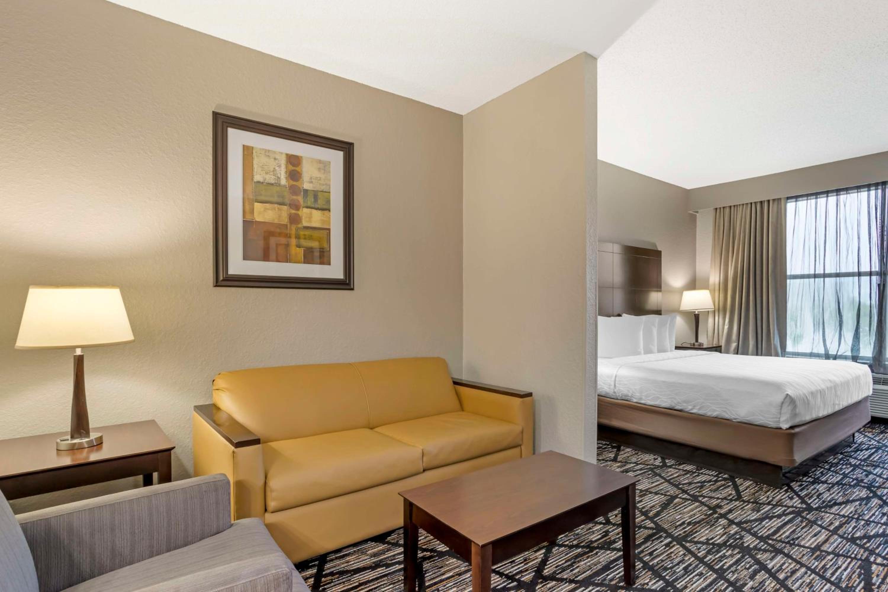 Junior King Suite with Sofa Bed - Mobility and Hearing Access/Non-Smoking - Photo 1