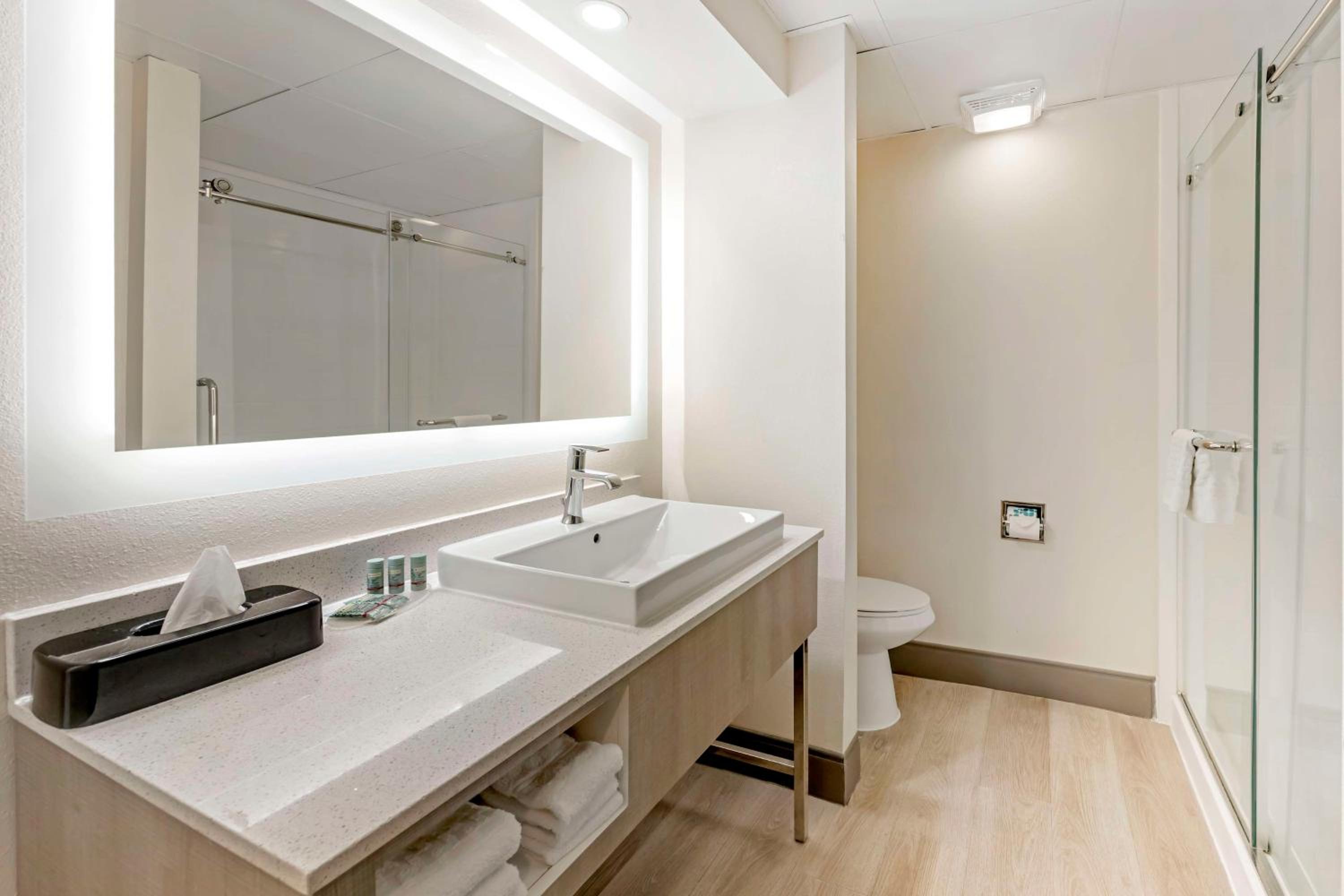 King Suite with Sofa Bed - Non-Smoking - Photo 4