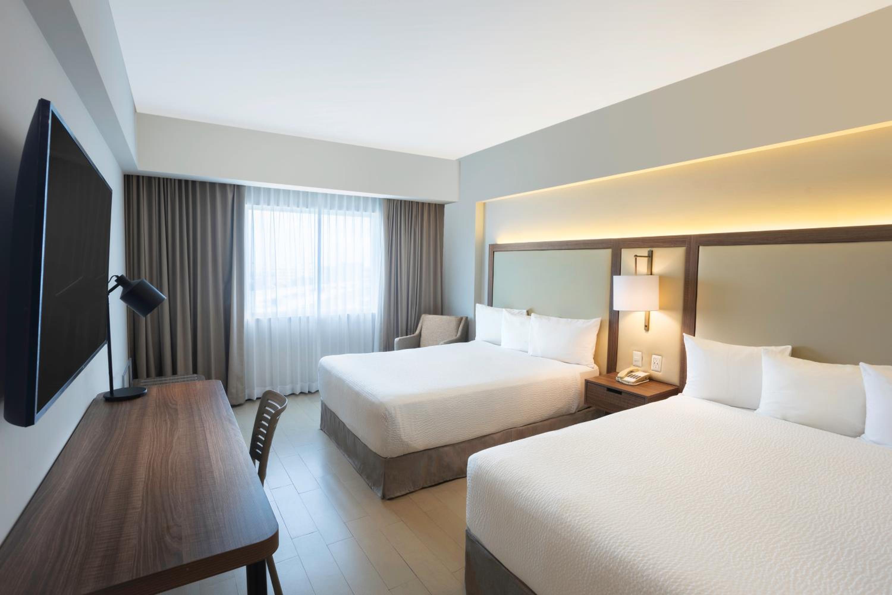 King Room with City View - Photo 1
