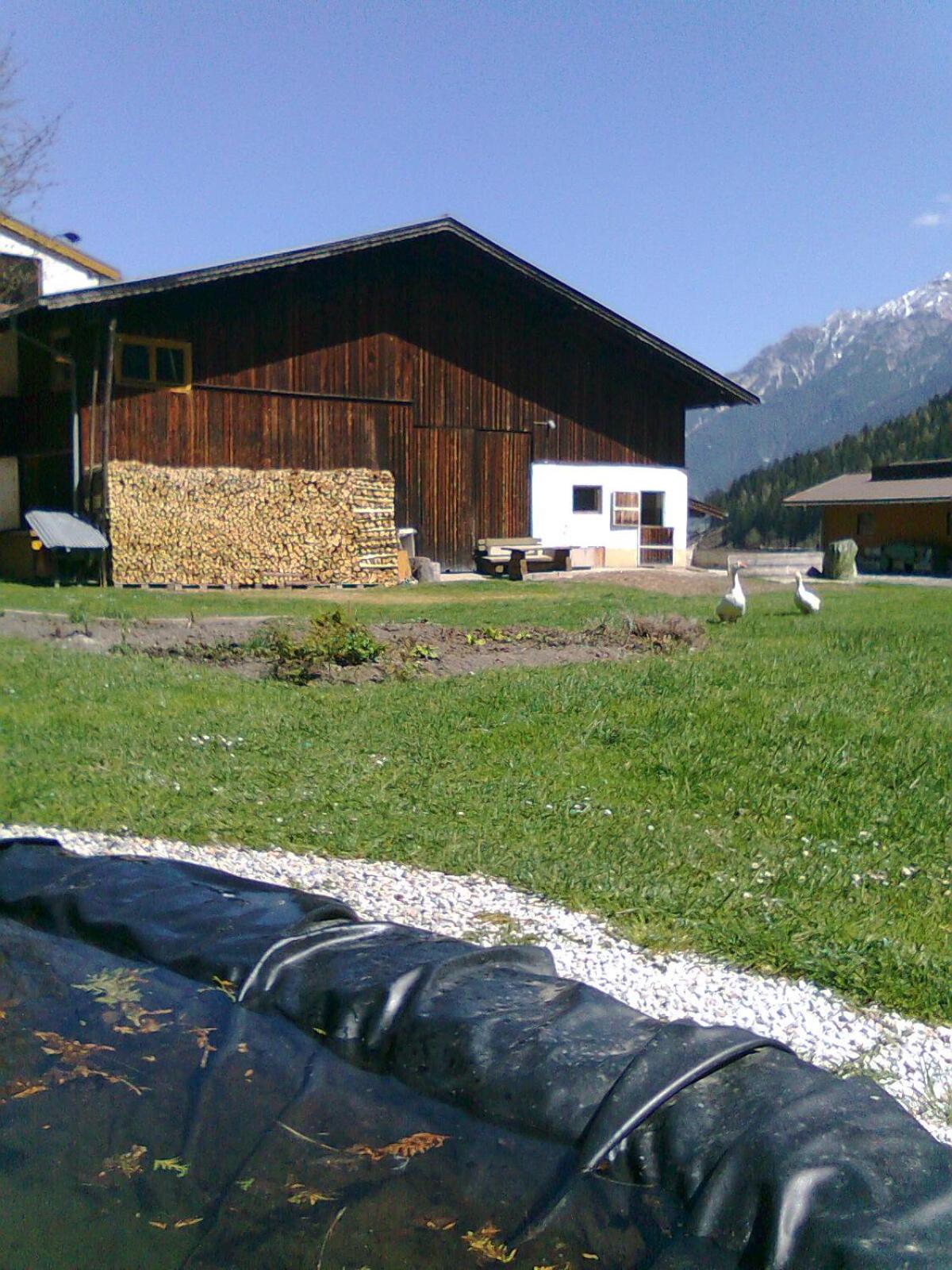 Apartment with Mountain View photo 2