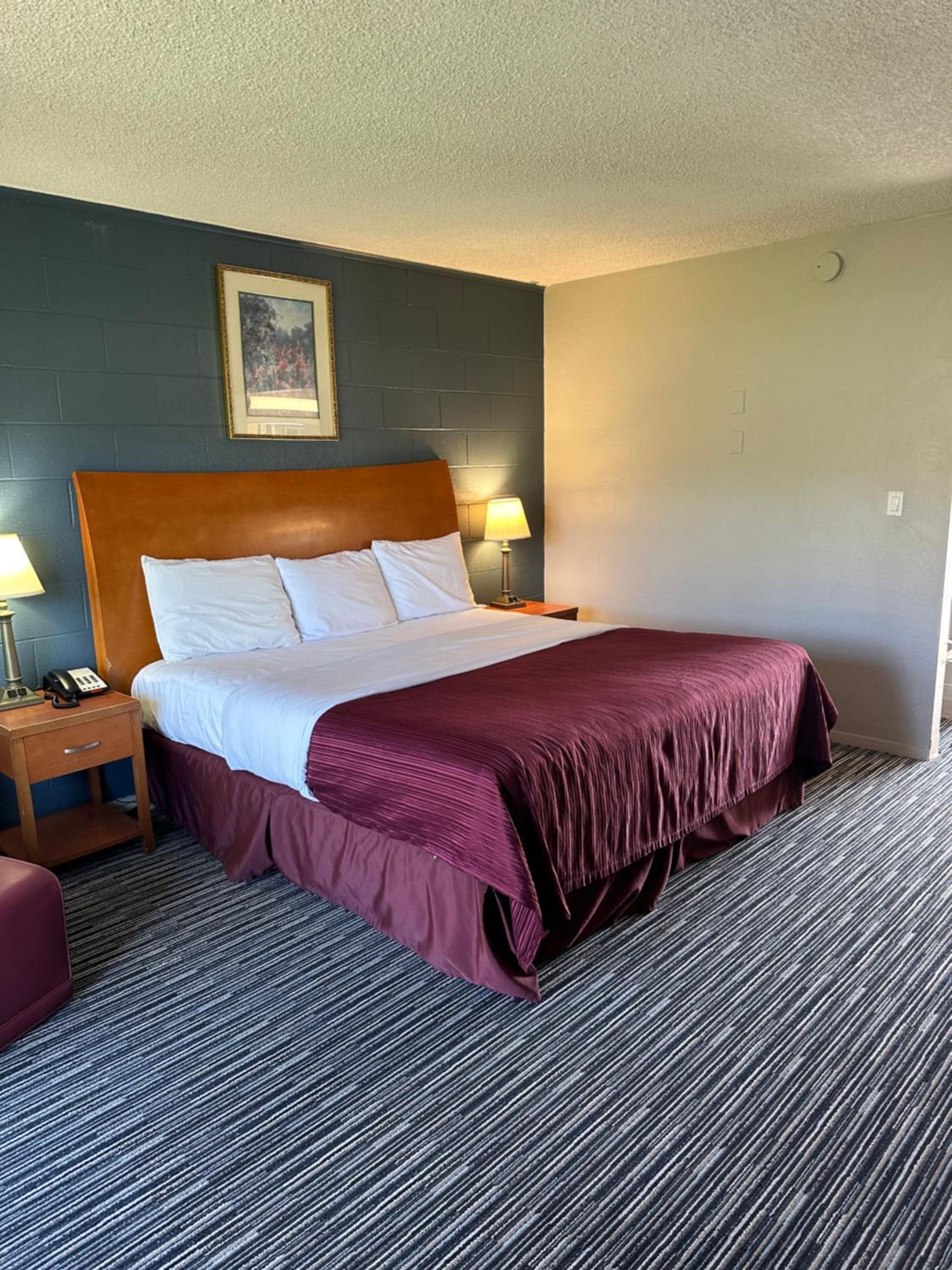King Room photo 1