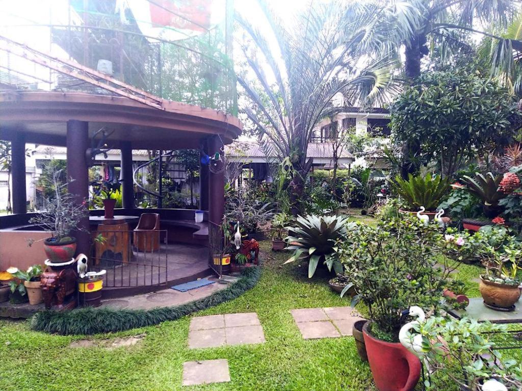 Family Suite with Balcony photo 3