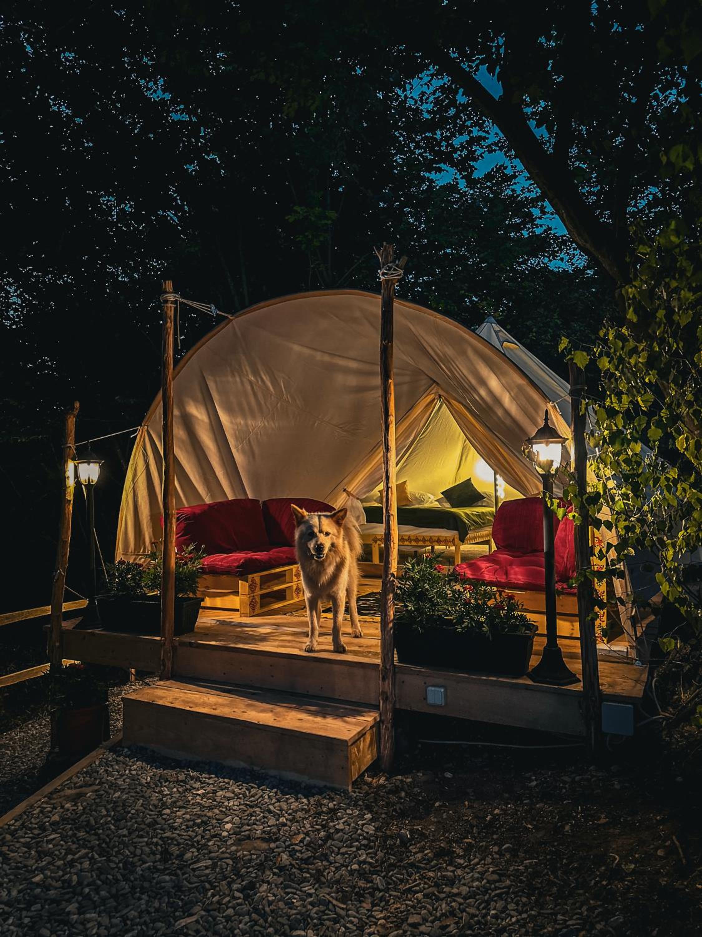 Tent photo 3