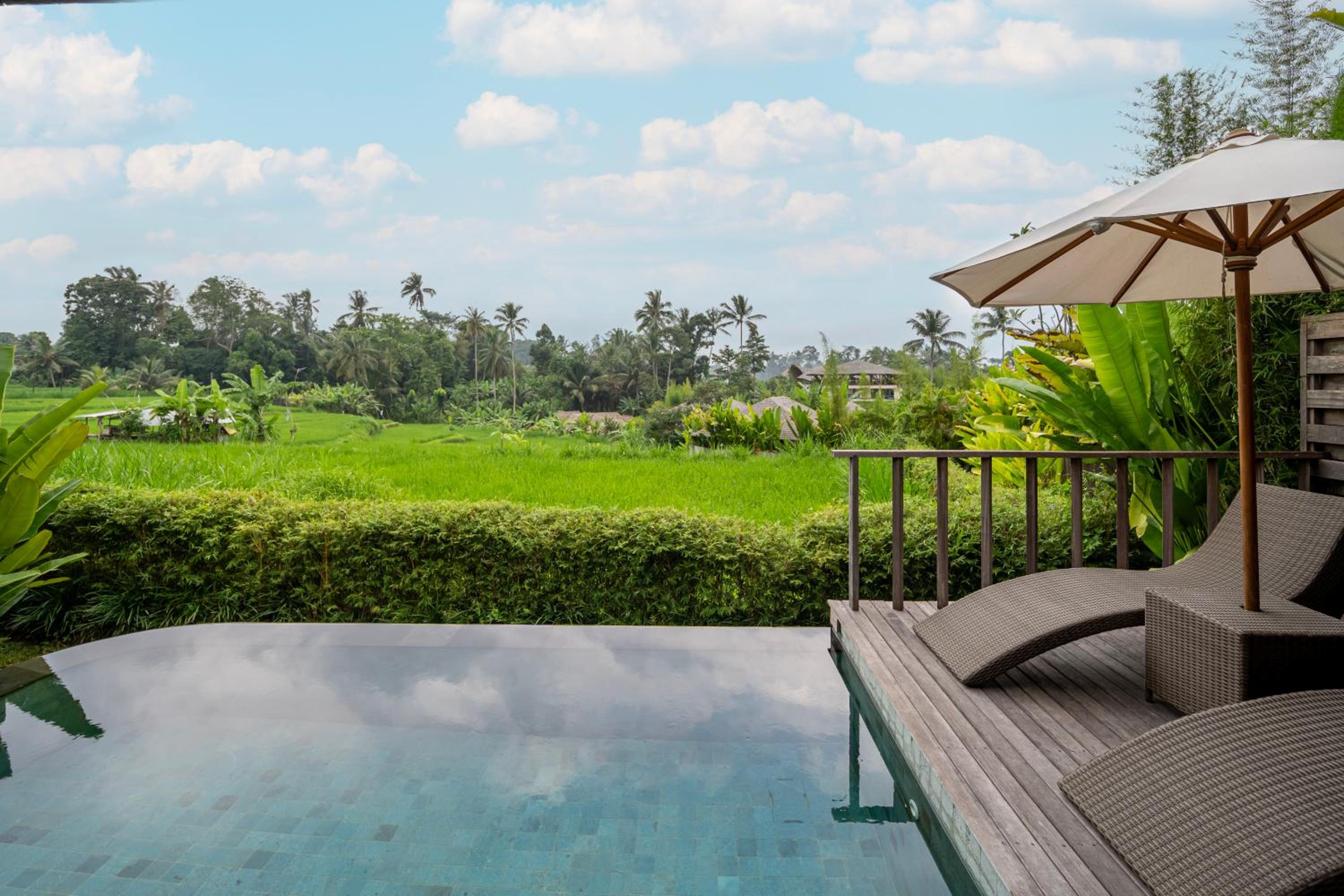  One-Bedroom Pool Villa with Rice Field View and Daily Scheduled Activities - Photo 19