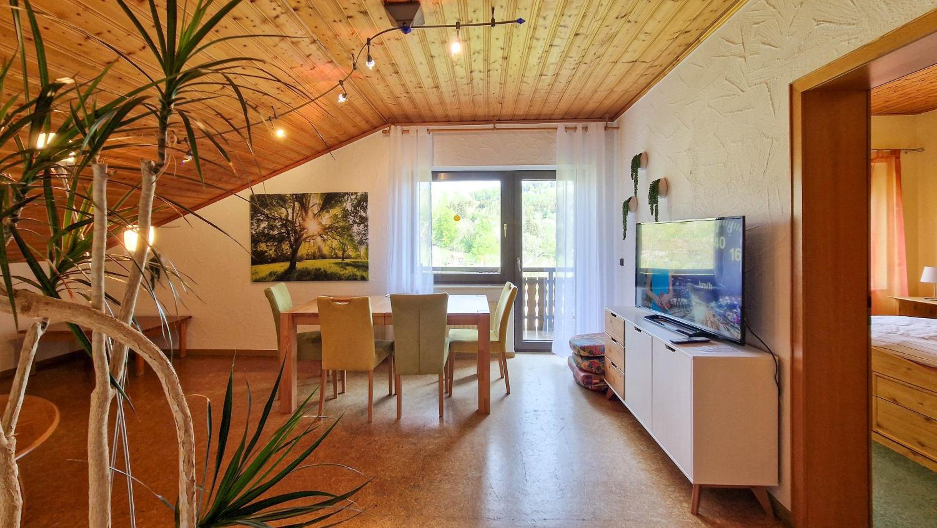 Apartment with Terrace photo 1