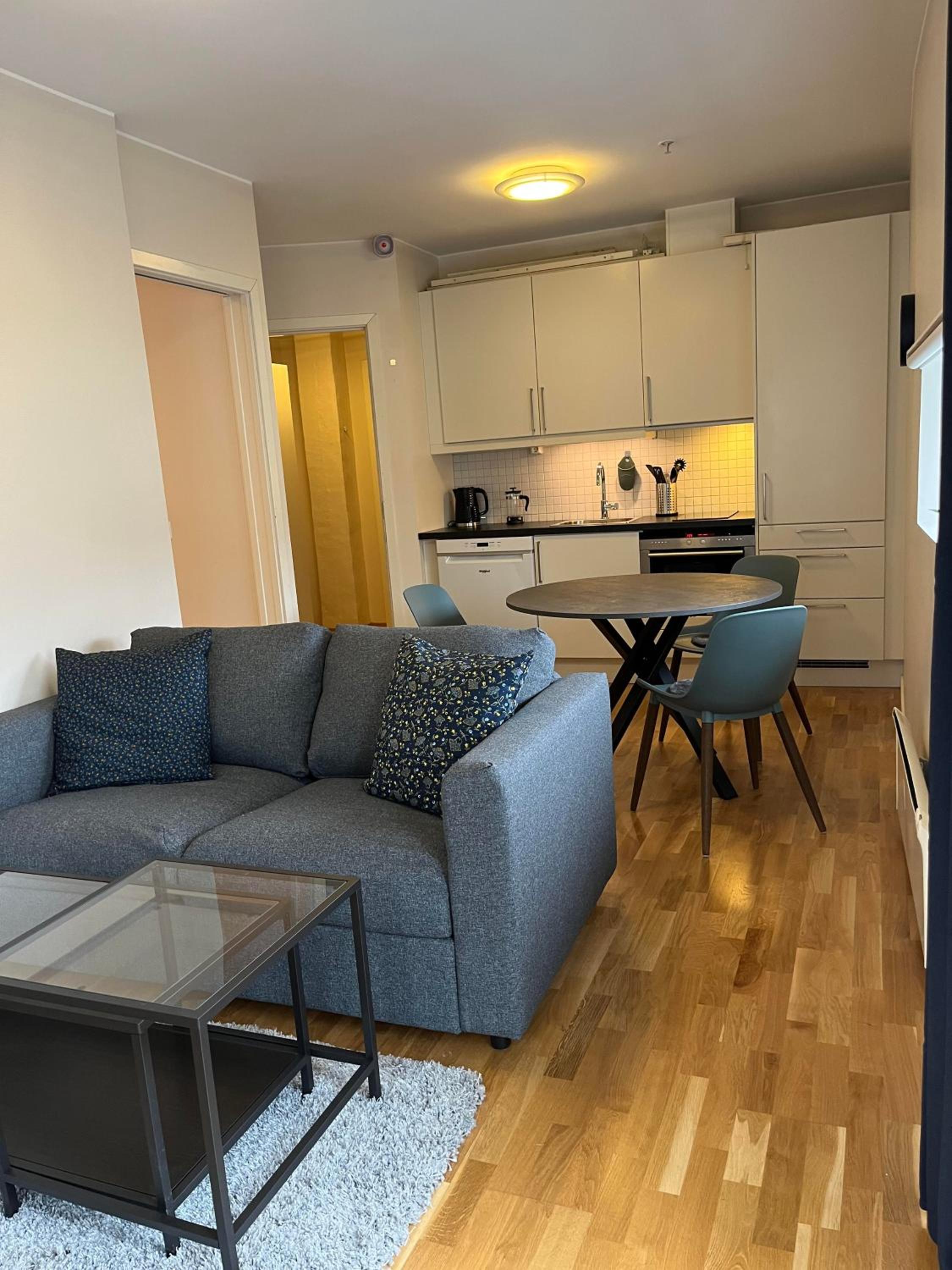 One-Bedroom Apartment photo 2