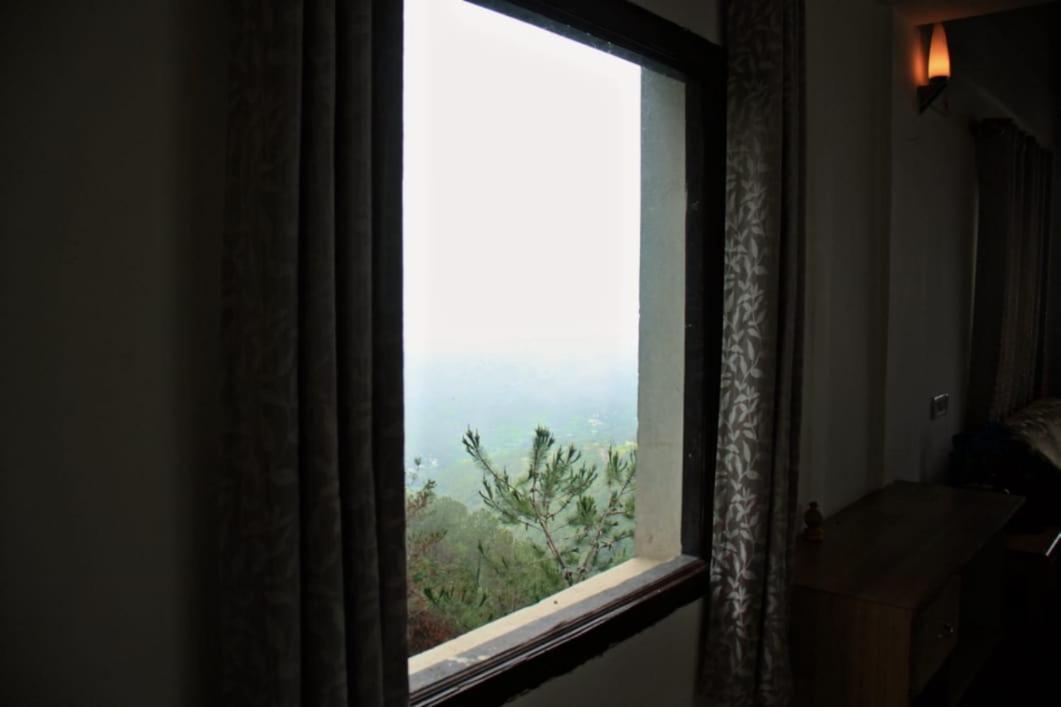 Deluxe Room photo 3