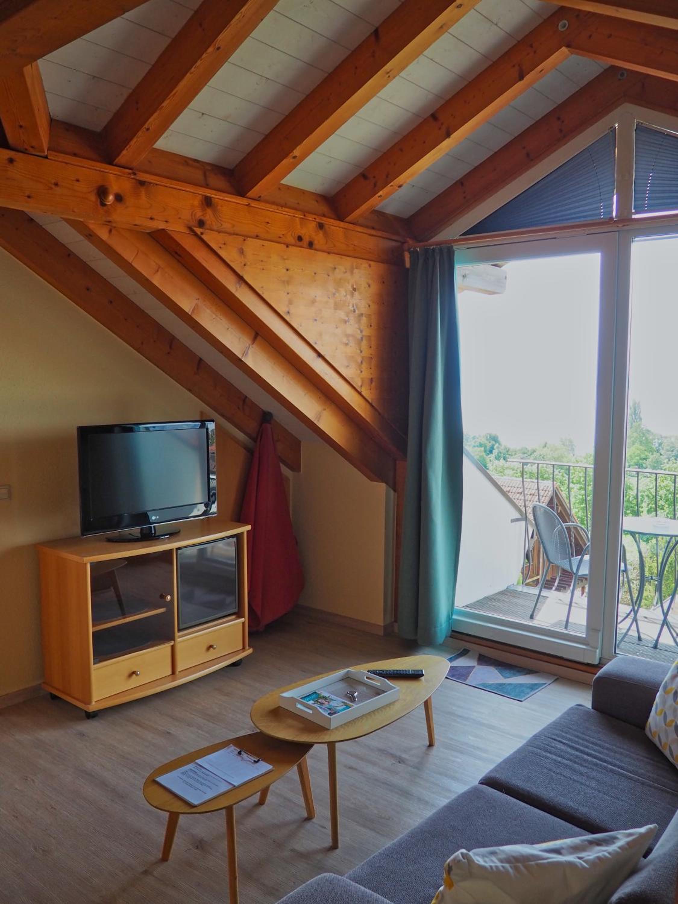 Studio with Lake View and Balcony photo 2