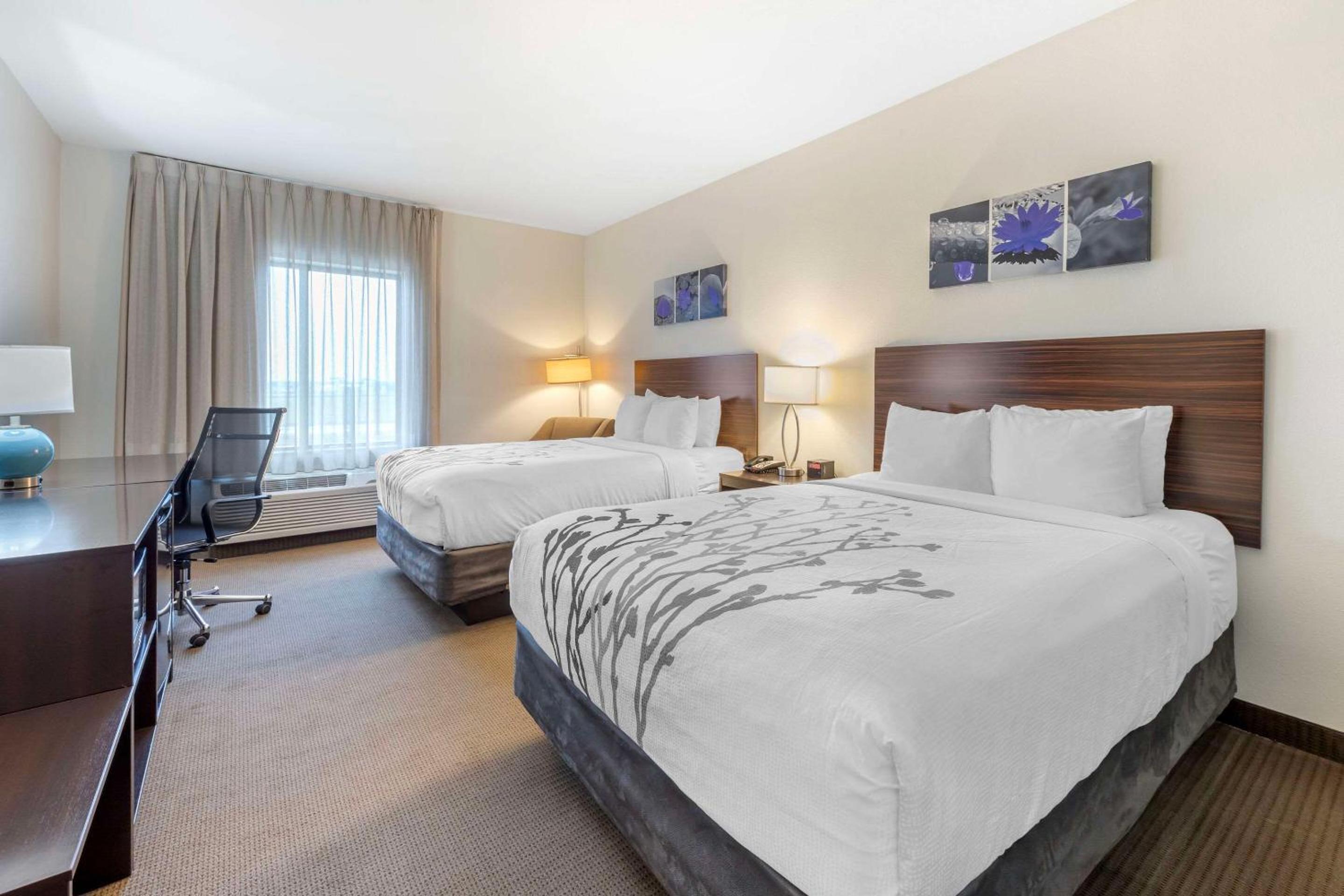 Queen Room with Two Queen Beds - Accessible/Non-Smoking  - Photo 1