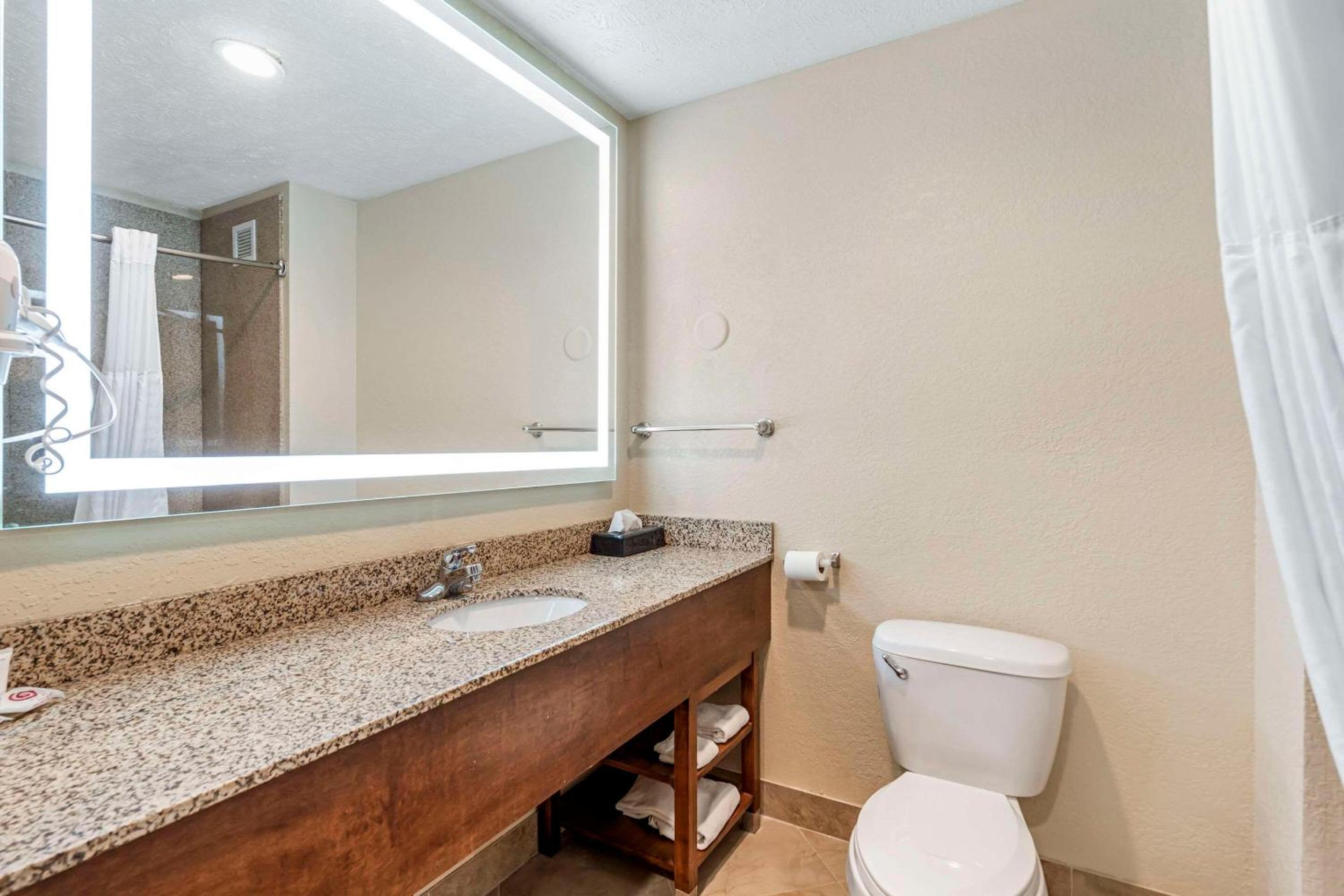 King Suite - Non-Smoking - Photo 6