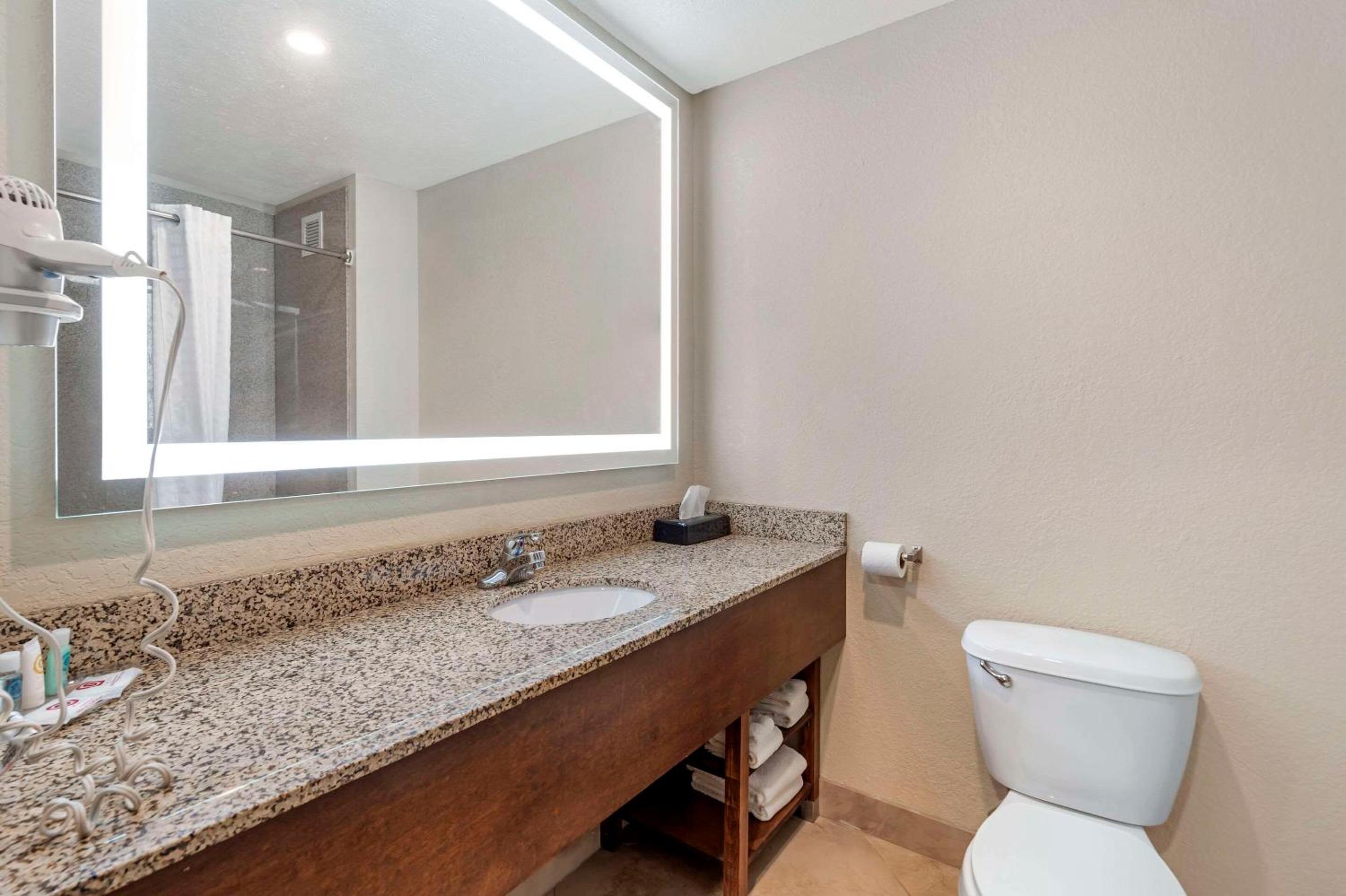 King Suite - Non-Smoking - Photo 2