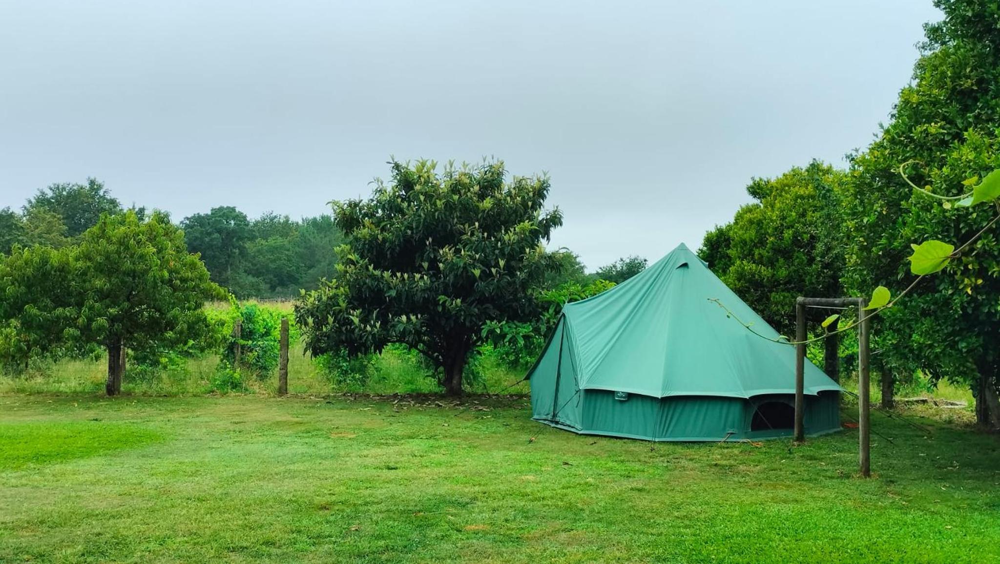 Tent photo 2