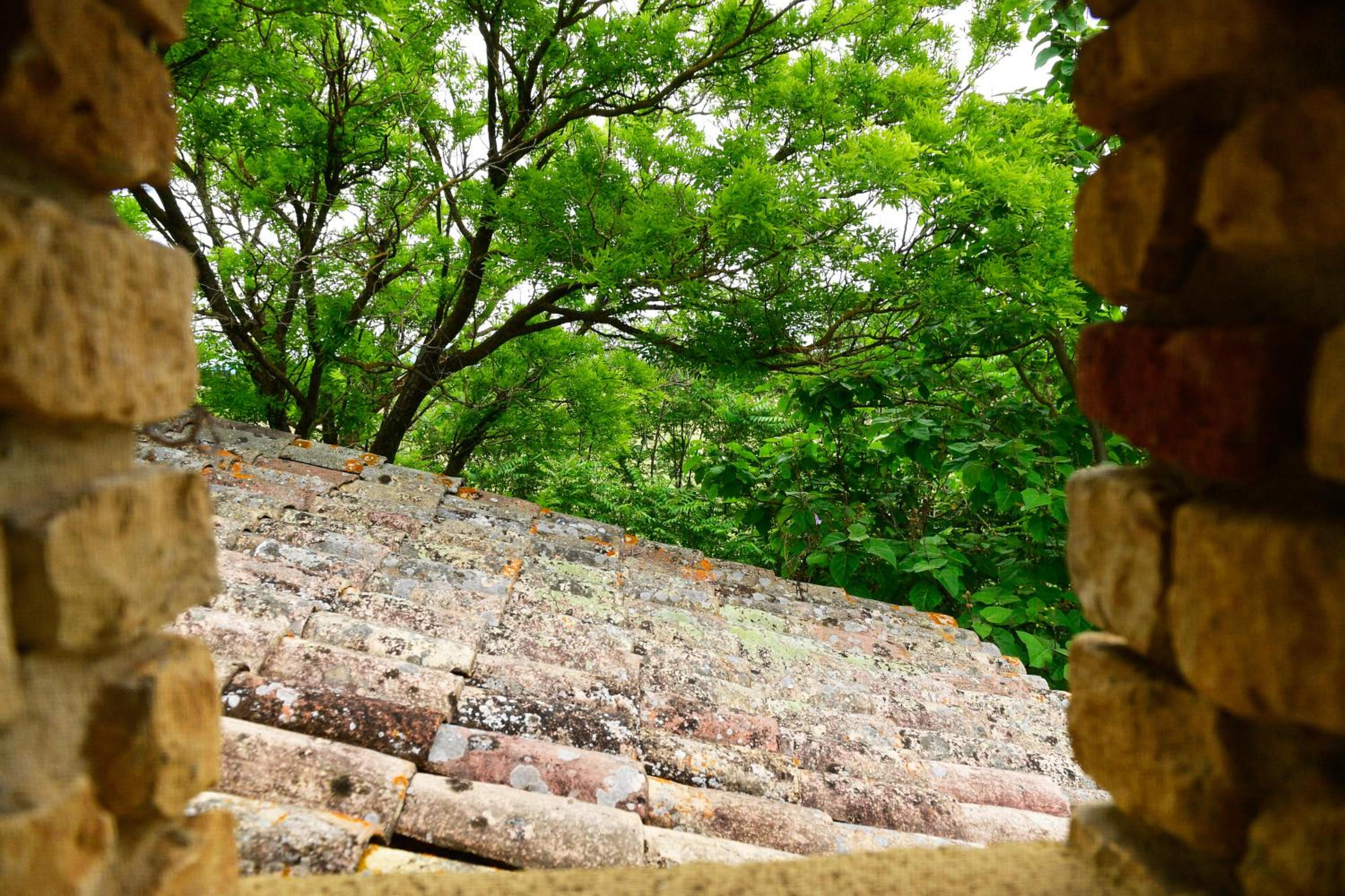 Queen Room with Garden View photo 2