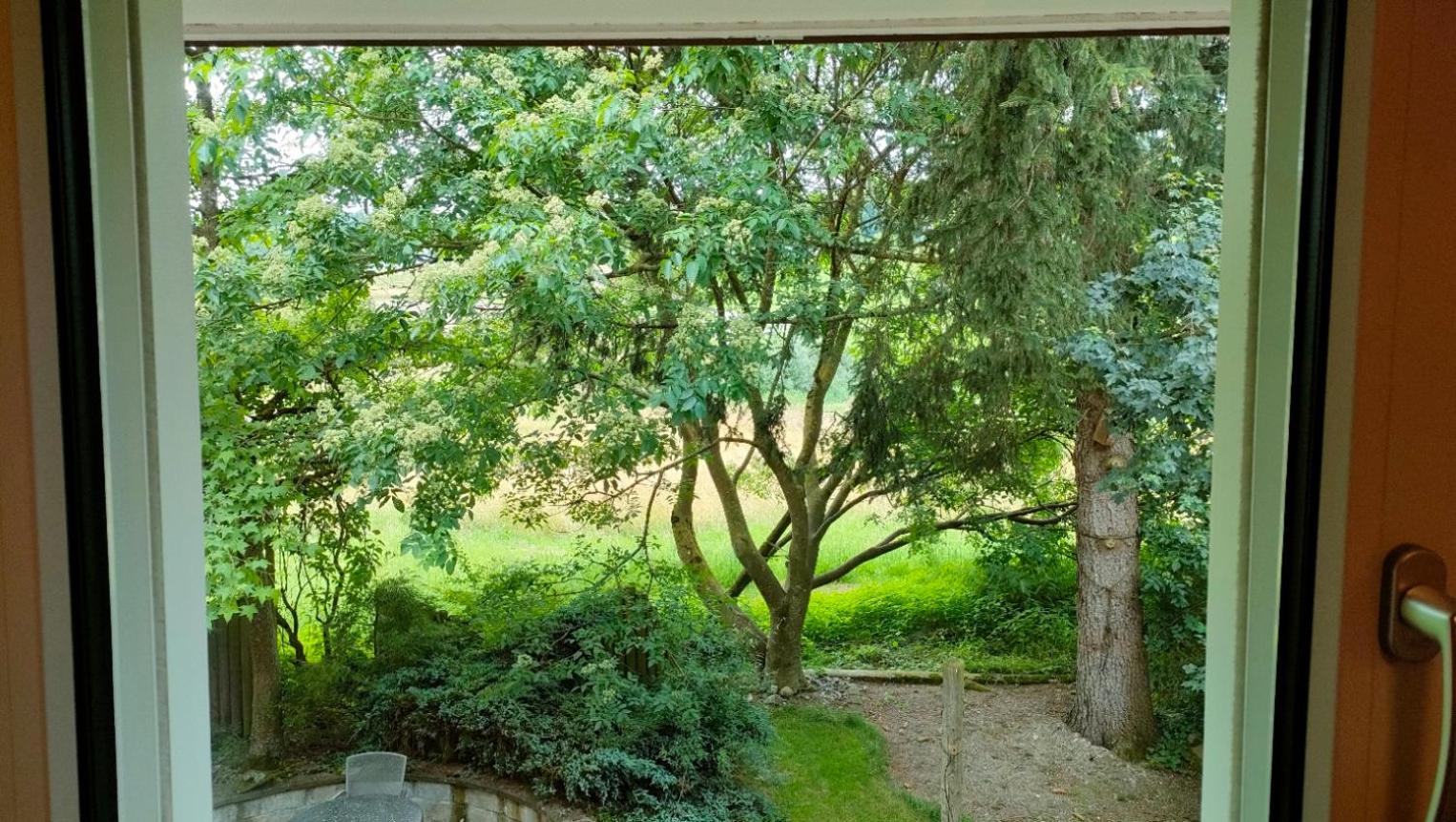 Single Room with Garden View photo 3