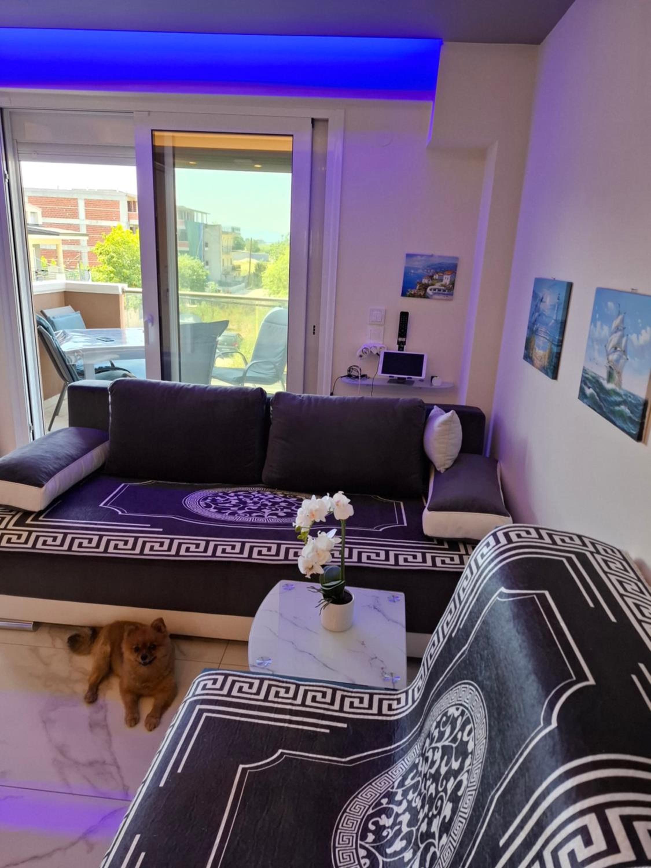 One-Bedroom Apartment photo 3