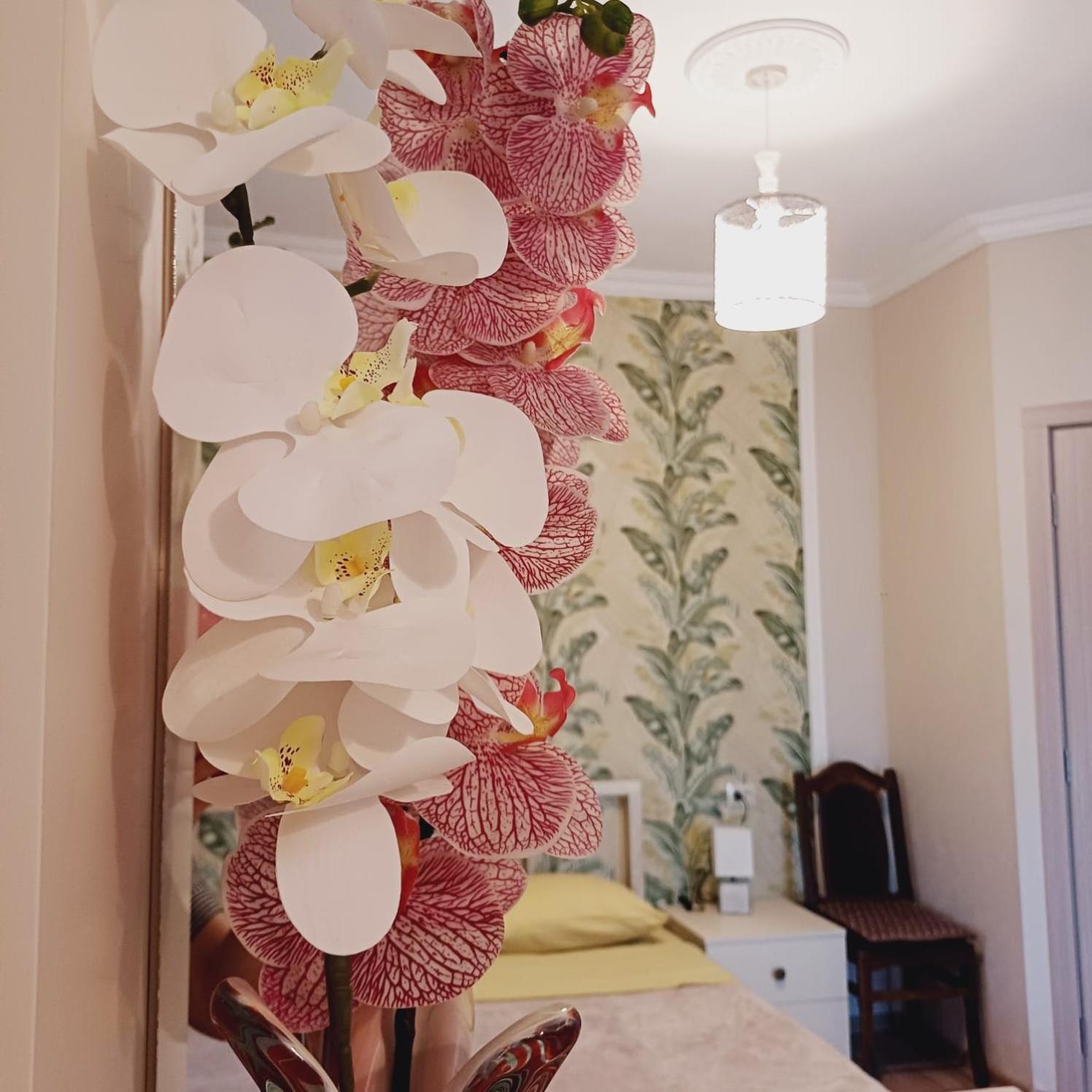 Double Room with Balcony photo 3