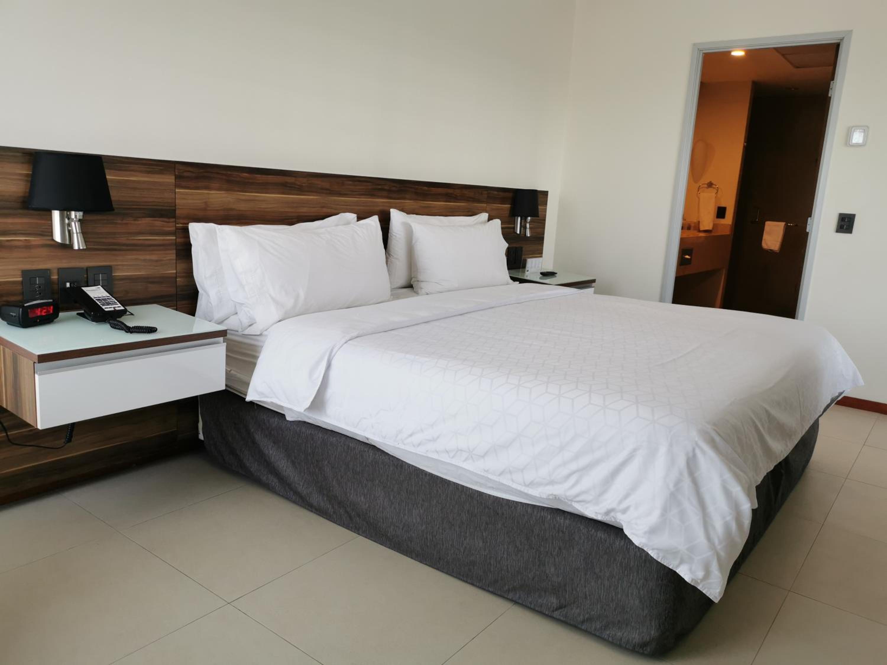 King Suite with Terrace and City View
