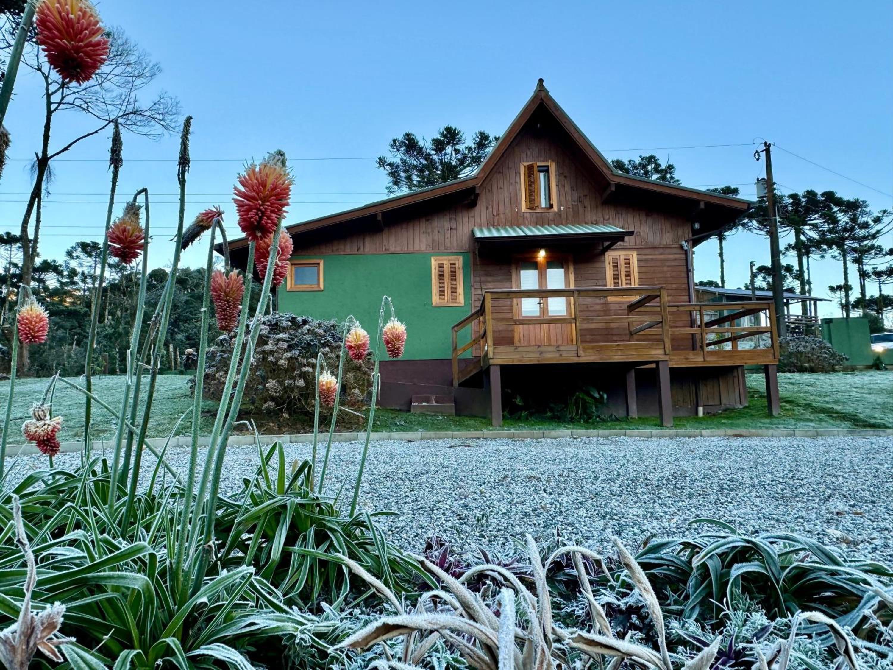 Deluxe Bungalow photo 2