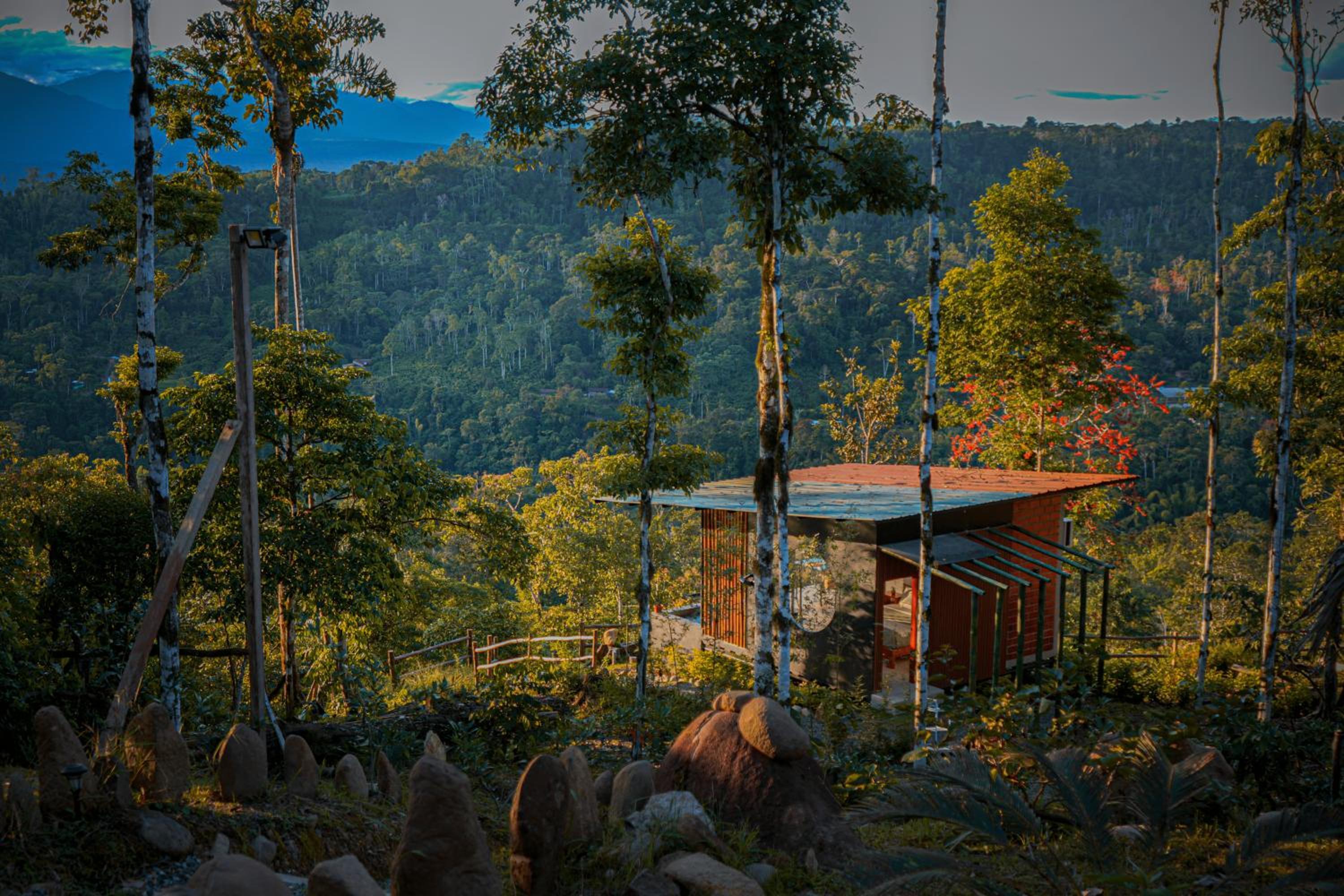 Suite With Mountain View photo 3