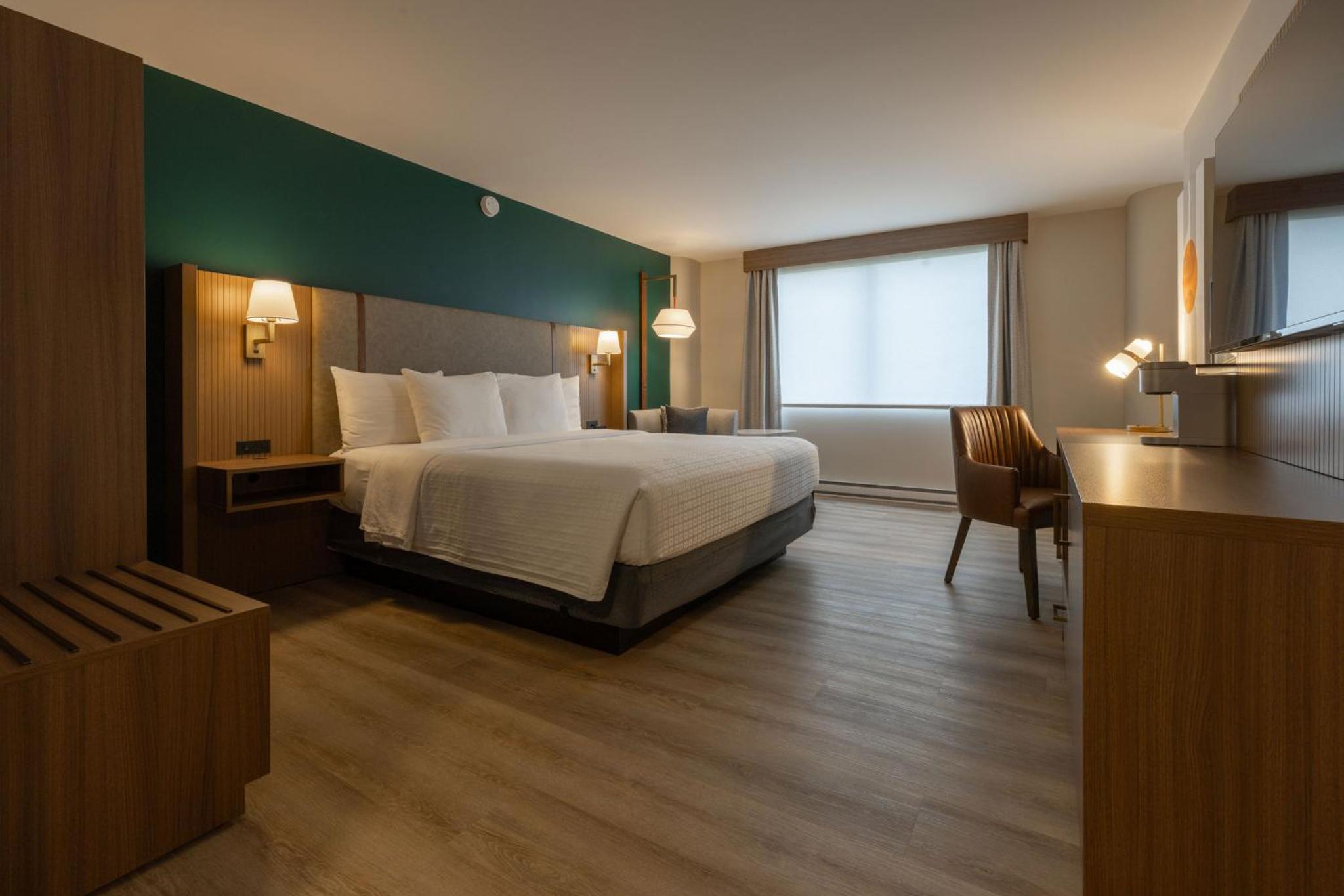 One-Bedroom Suite - Photo 7