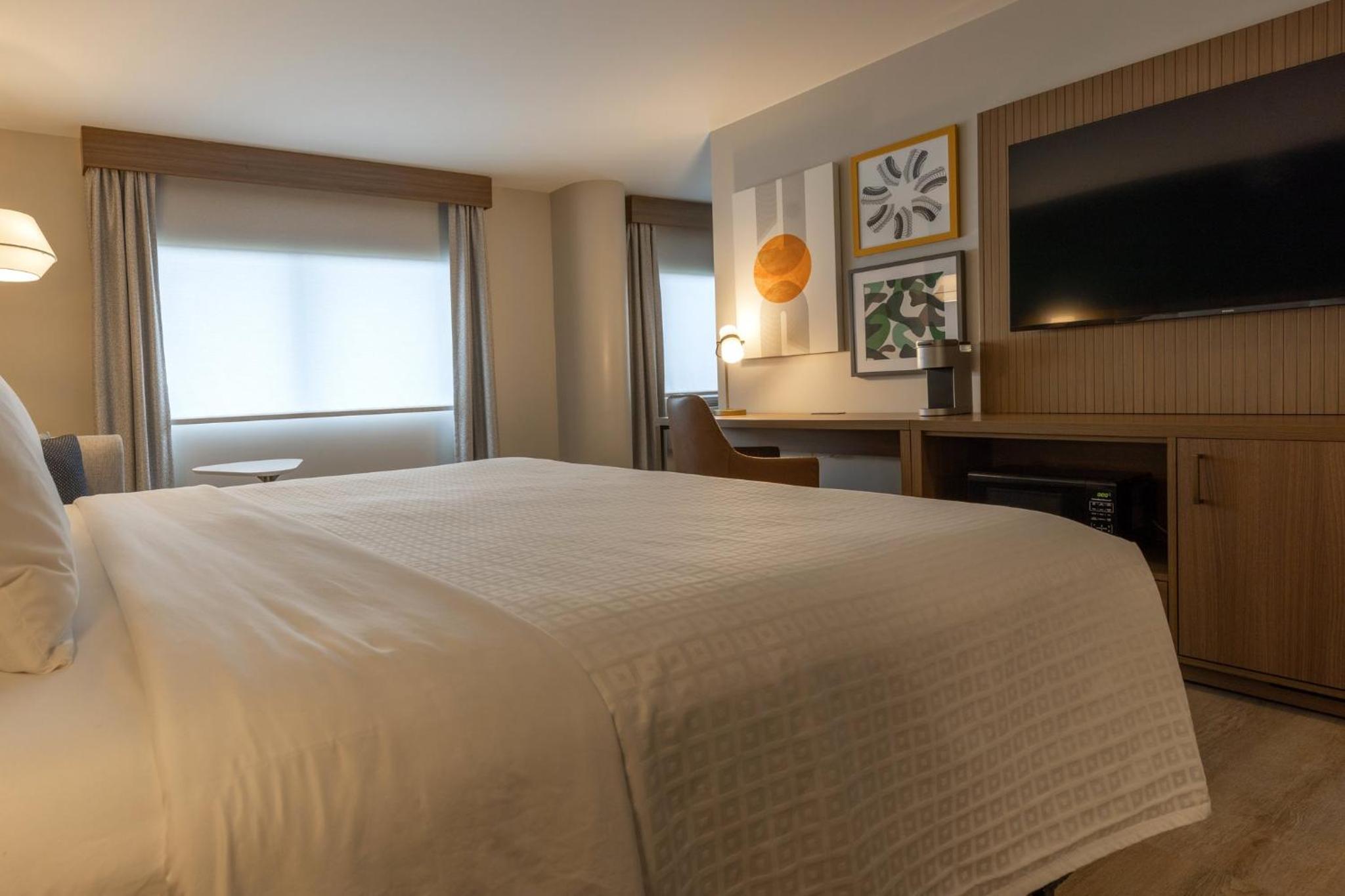 One-Bedroom Suite - Photo 8