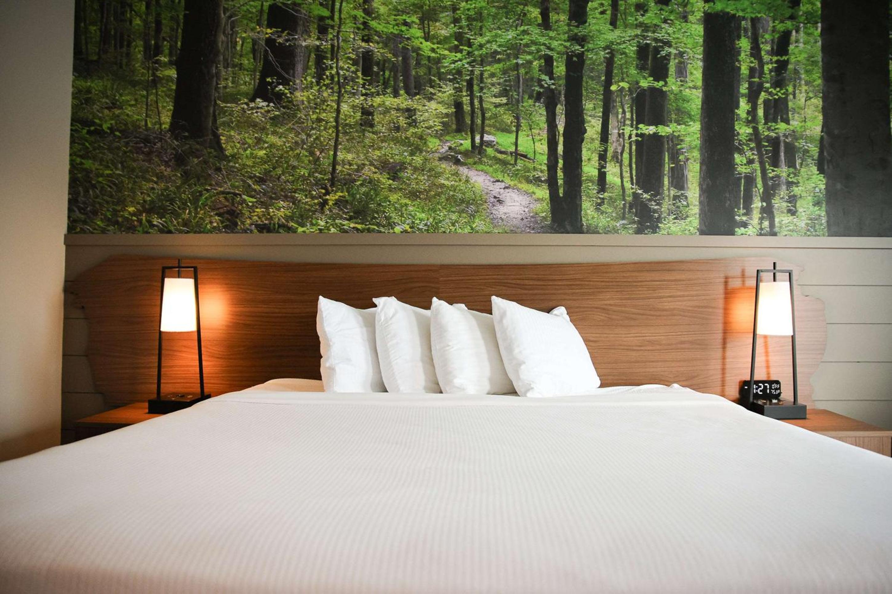 King Room with Walk-In Shower