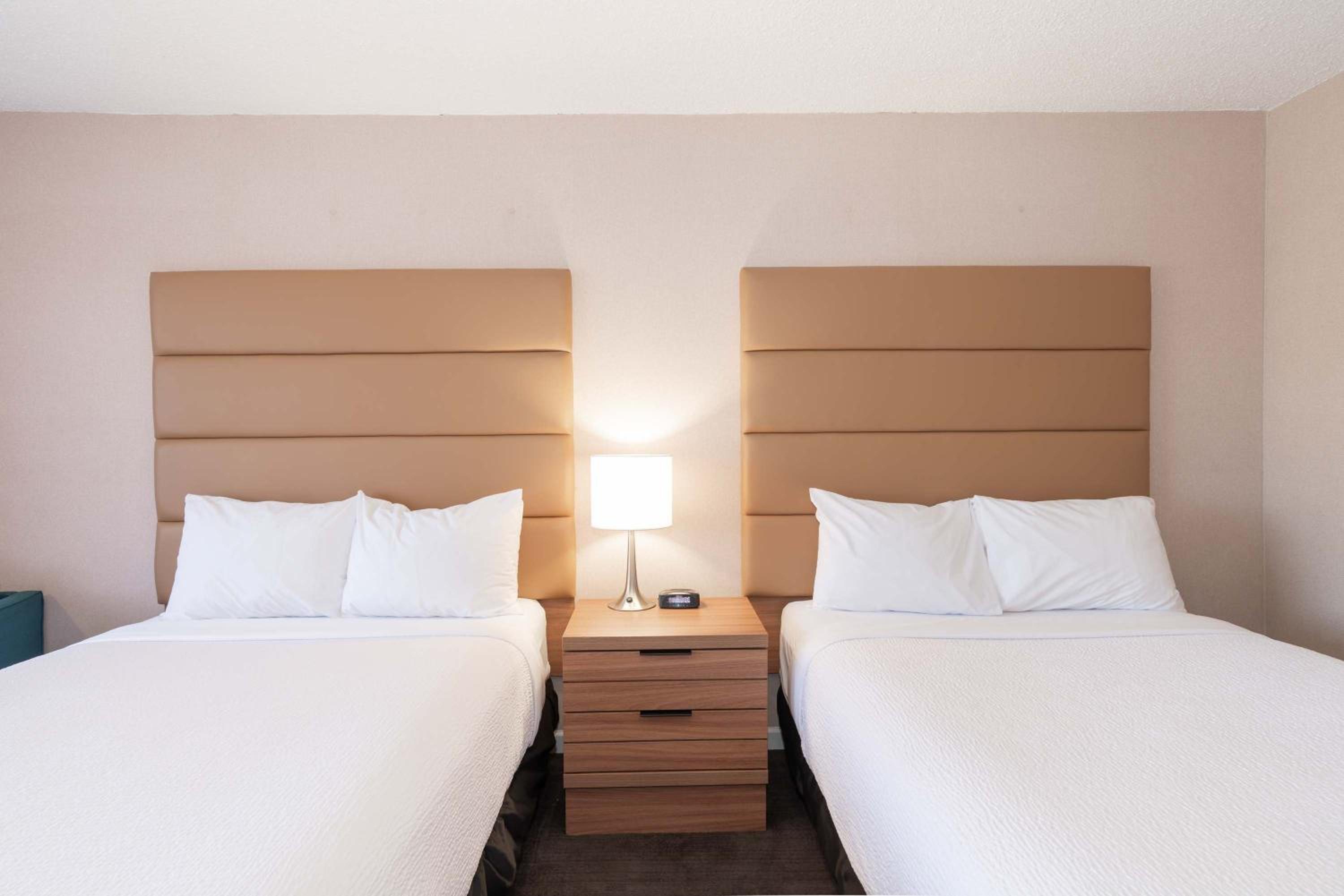 Standard Room, 2 Double Beds photo 3