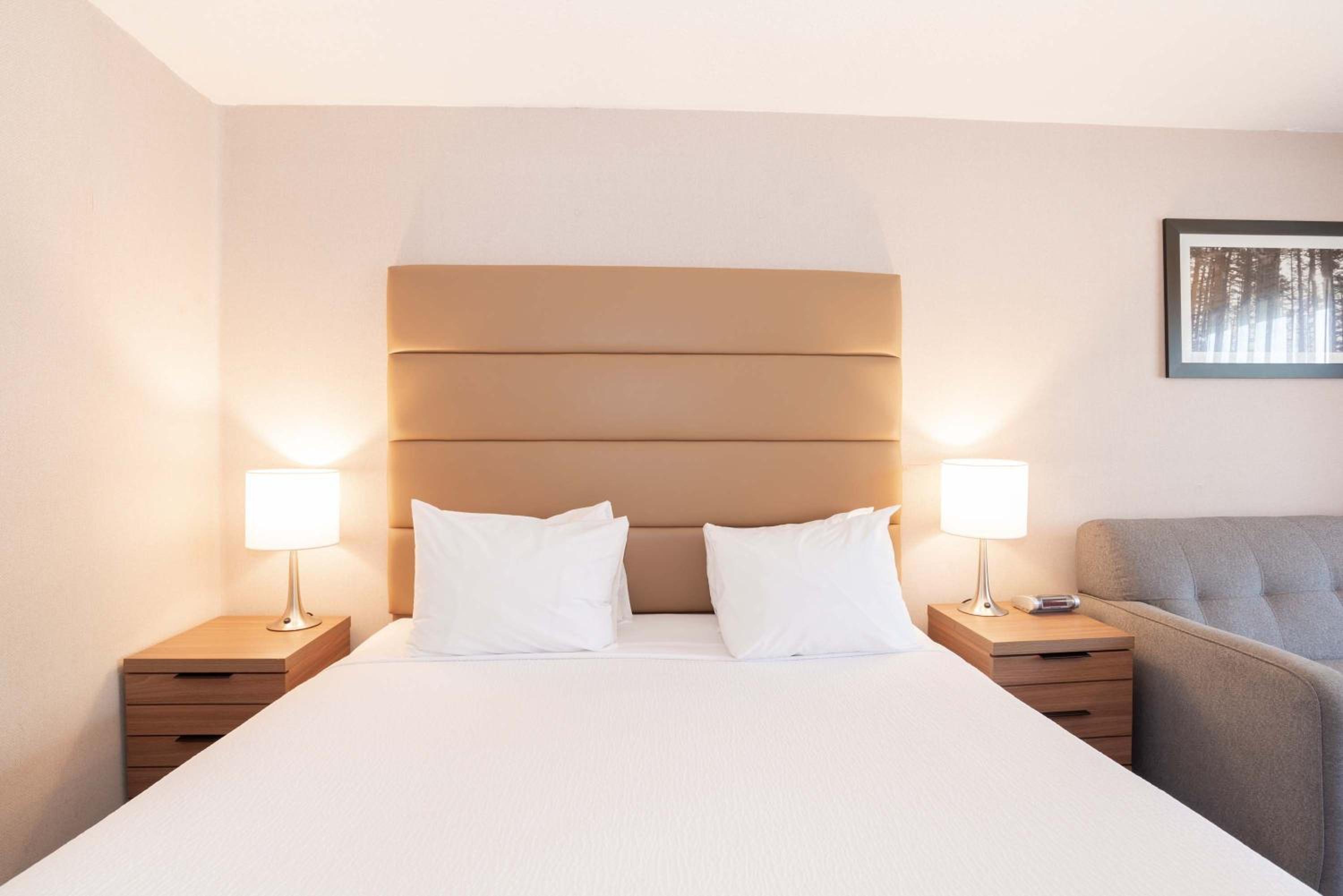 Standard Room, 1 King Bed, Sofa Bed photo 3