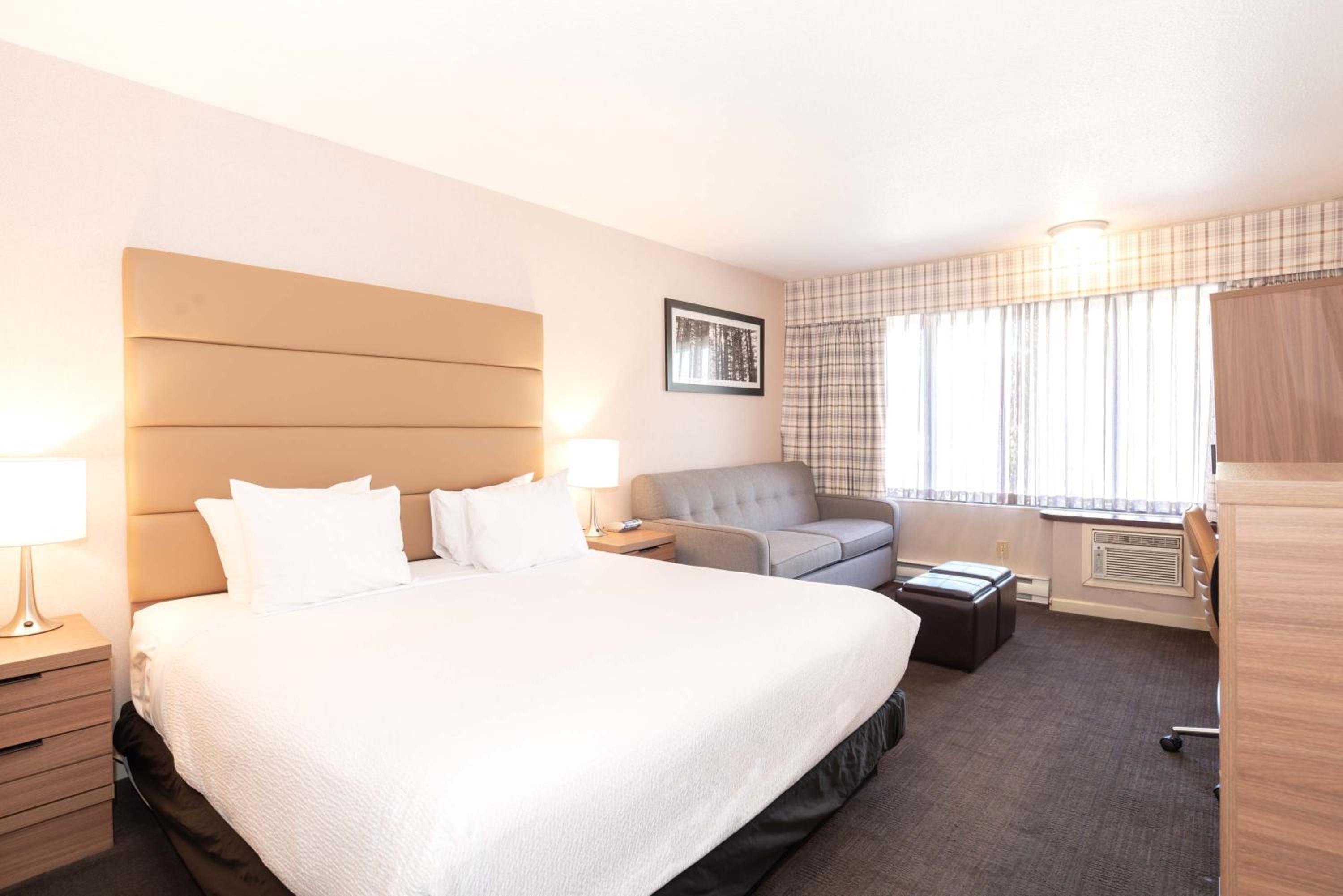 Standard Room, 1 King Bed, Sofa Bed photo 1