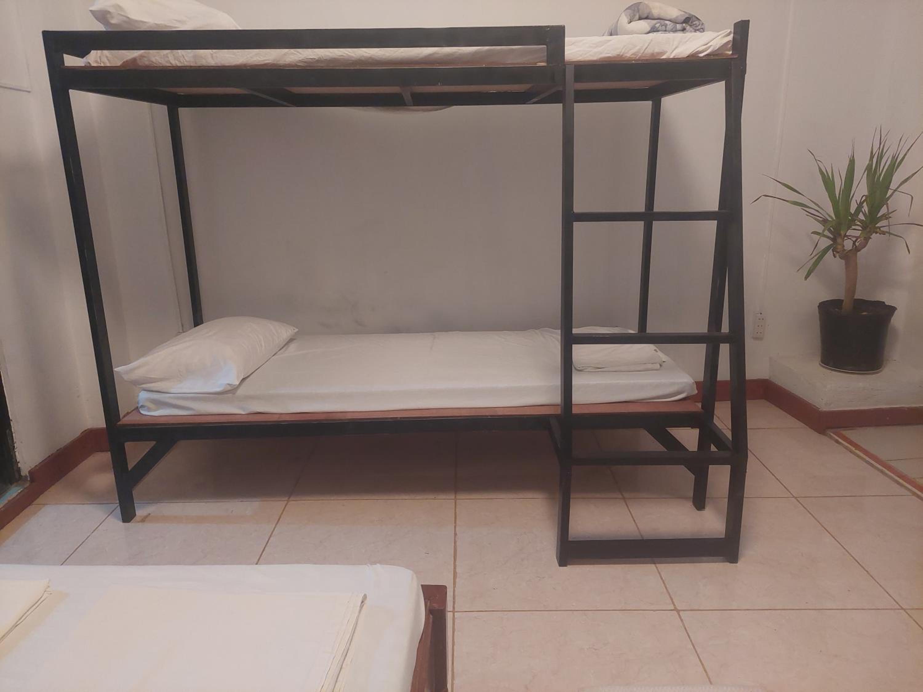 10-Bed Female Dormitory Room photo 1