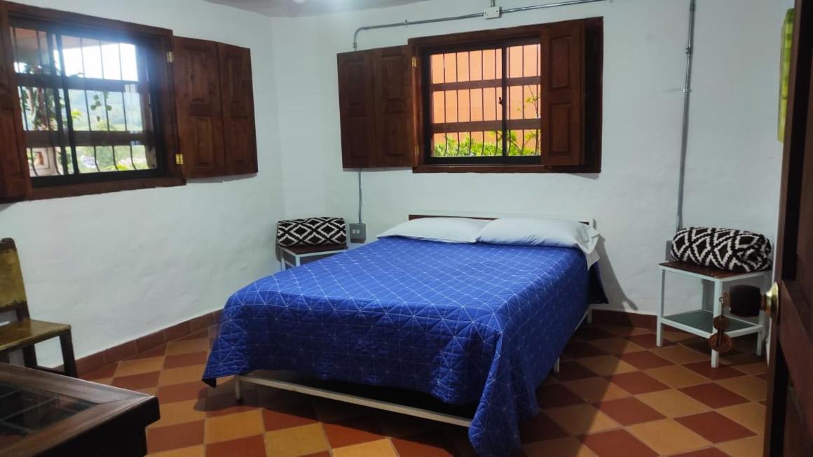 Twin Room photo 2