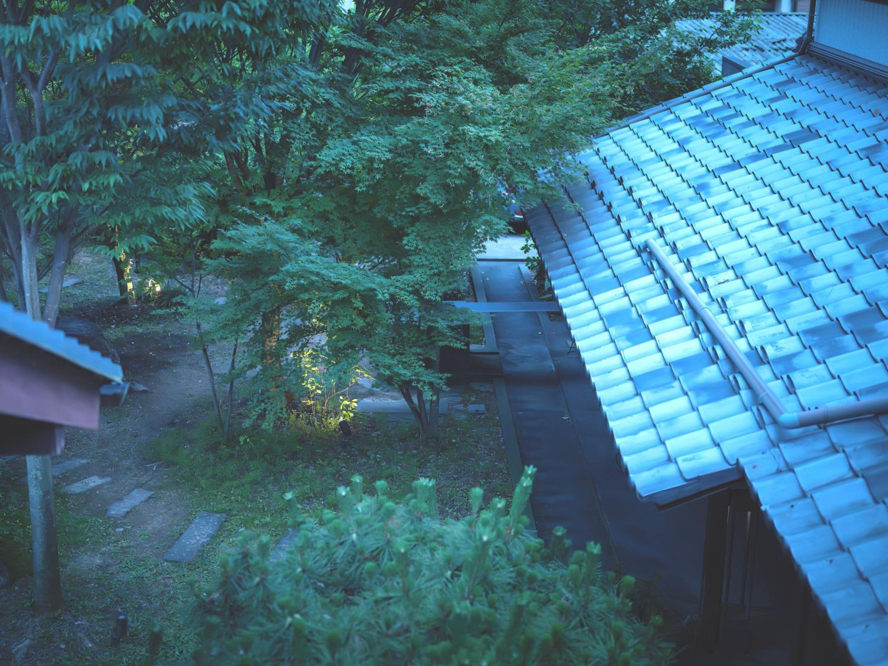 Japanese-Style Room photo 3