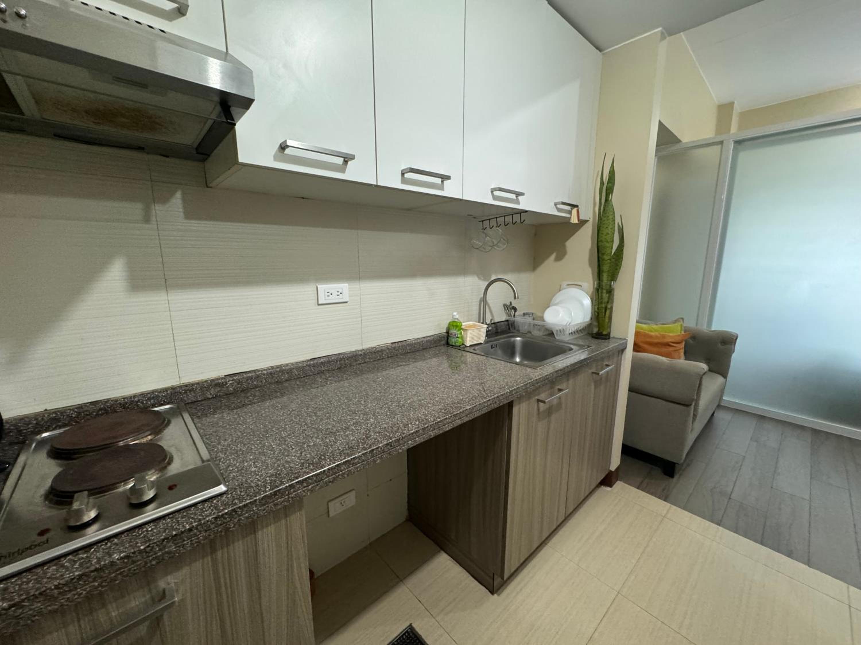 One-Bedroom Apartment - Photo 4