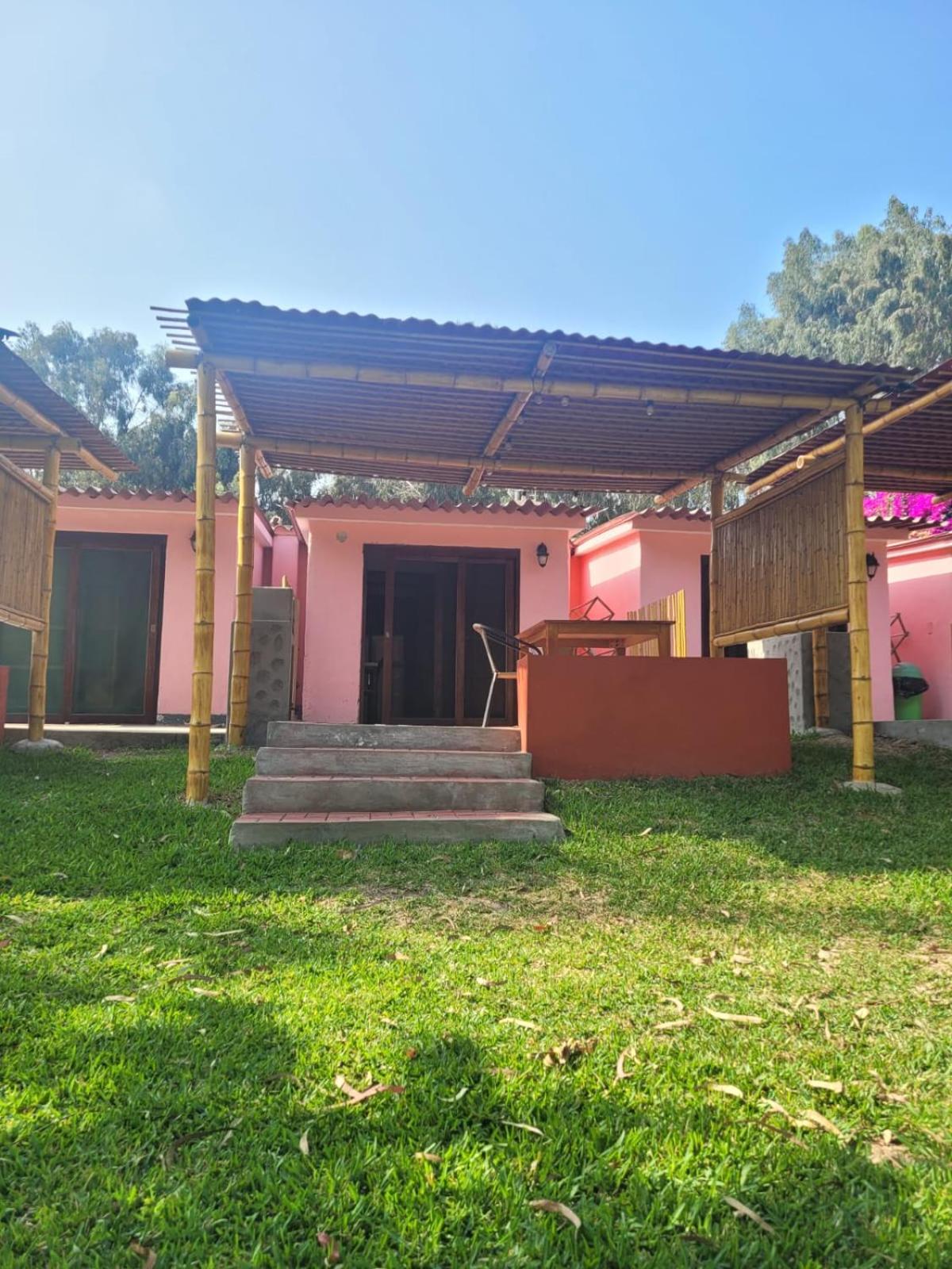 Bungalow with Garden View photo 2