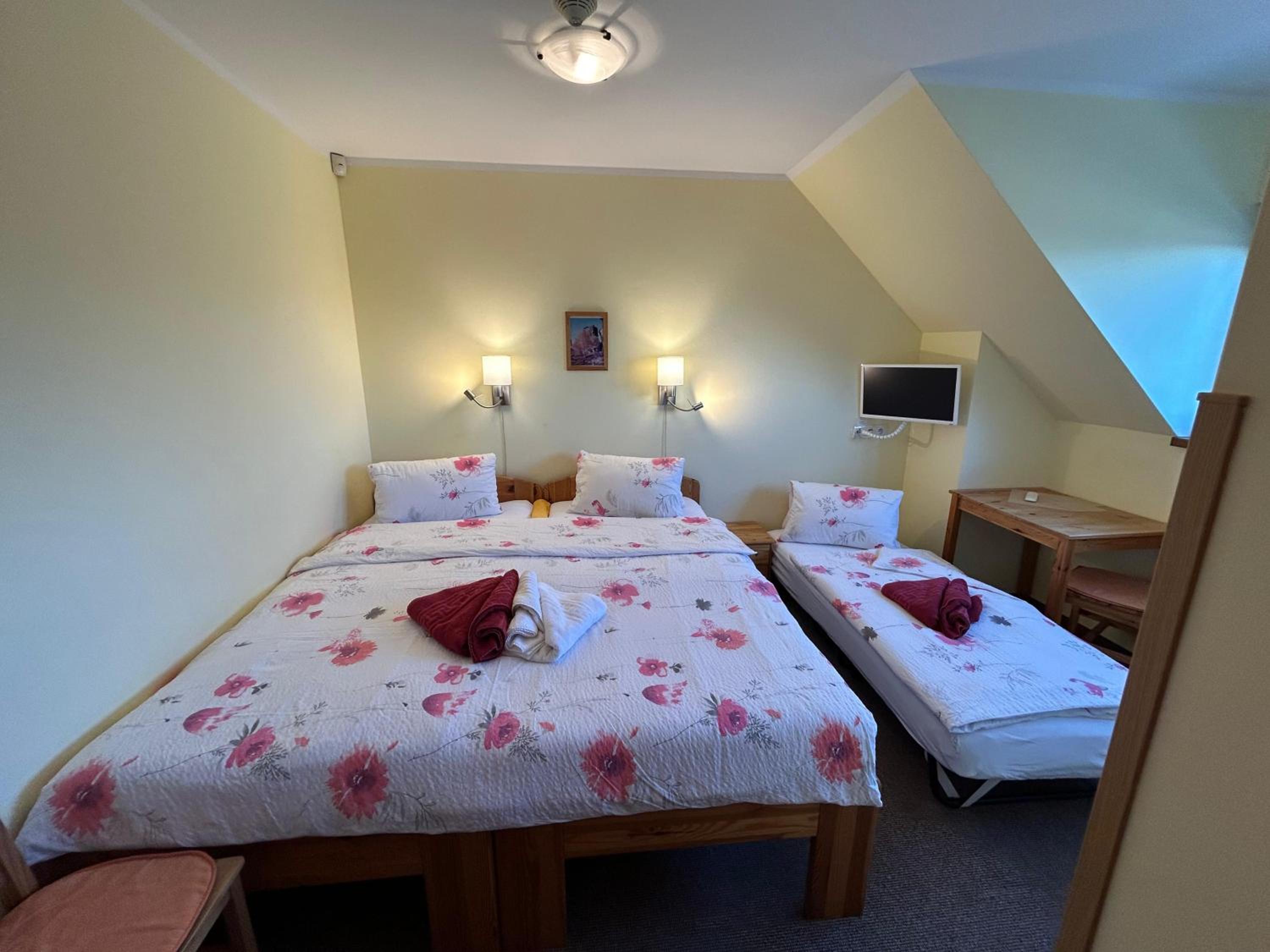 Twin Room photo 2