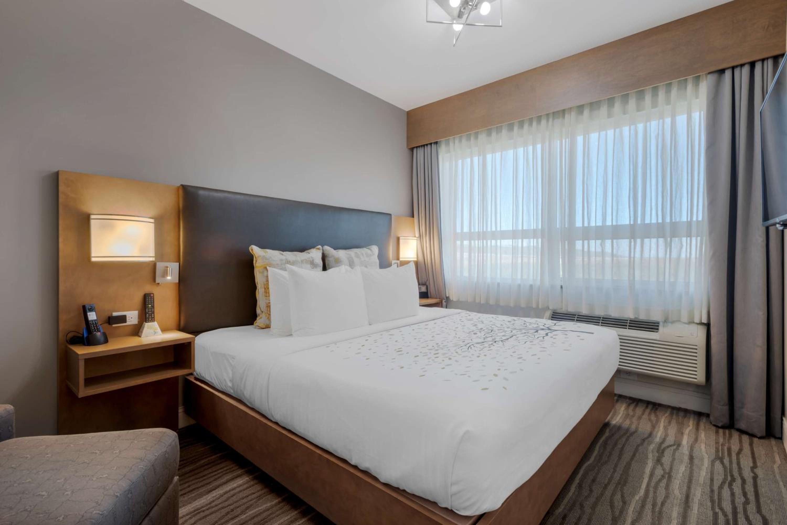 King Suite photo 2