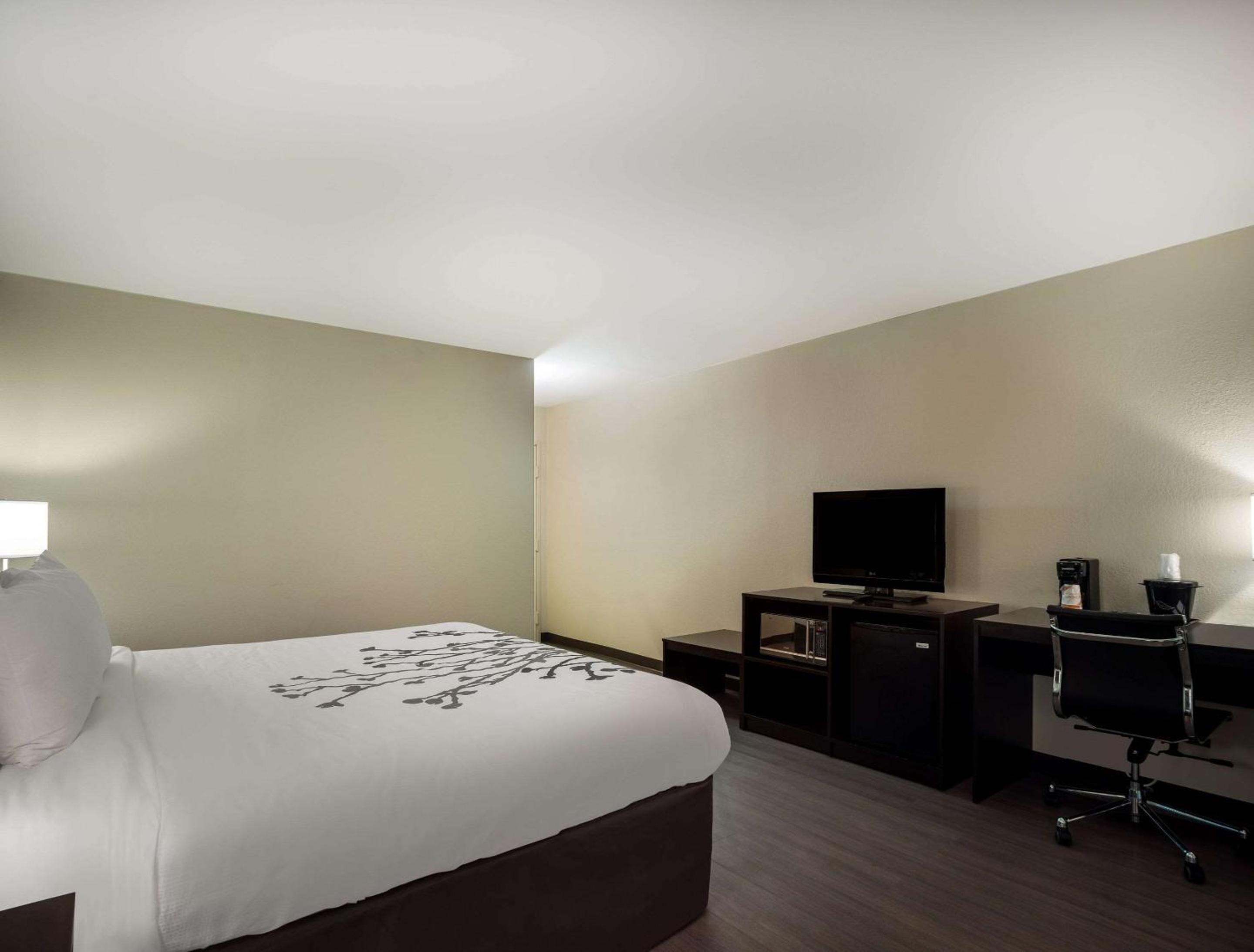 King Room - Non-Smoking - Photo 1