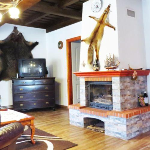 Three-Bedroom Chalet photo 1