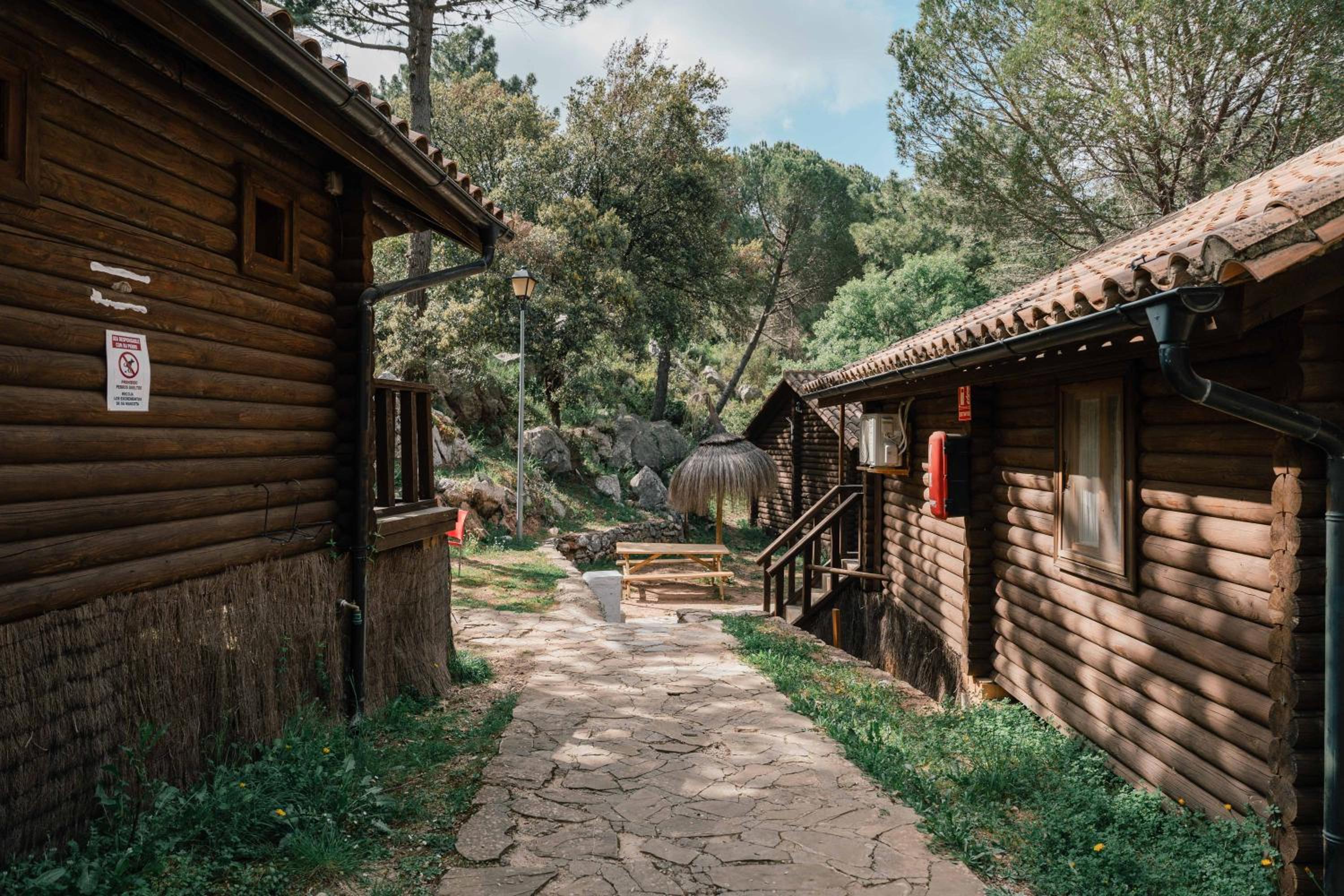 Deluxe Bungalow - Photo 8