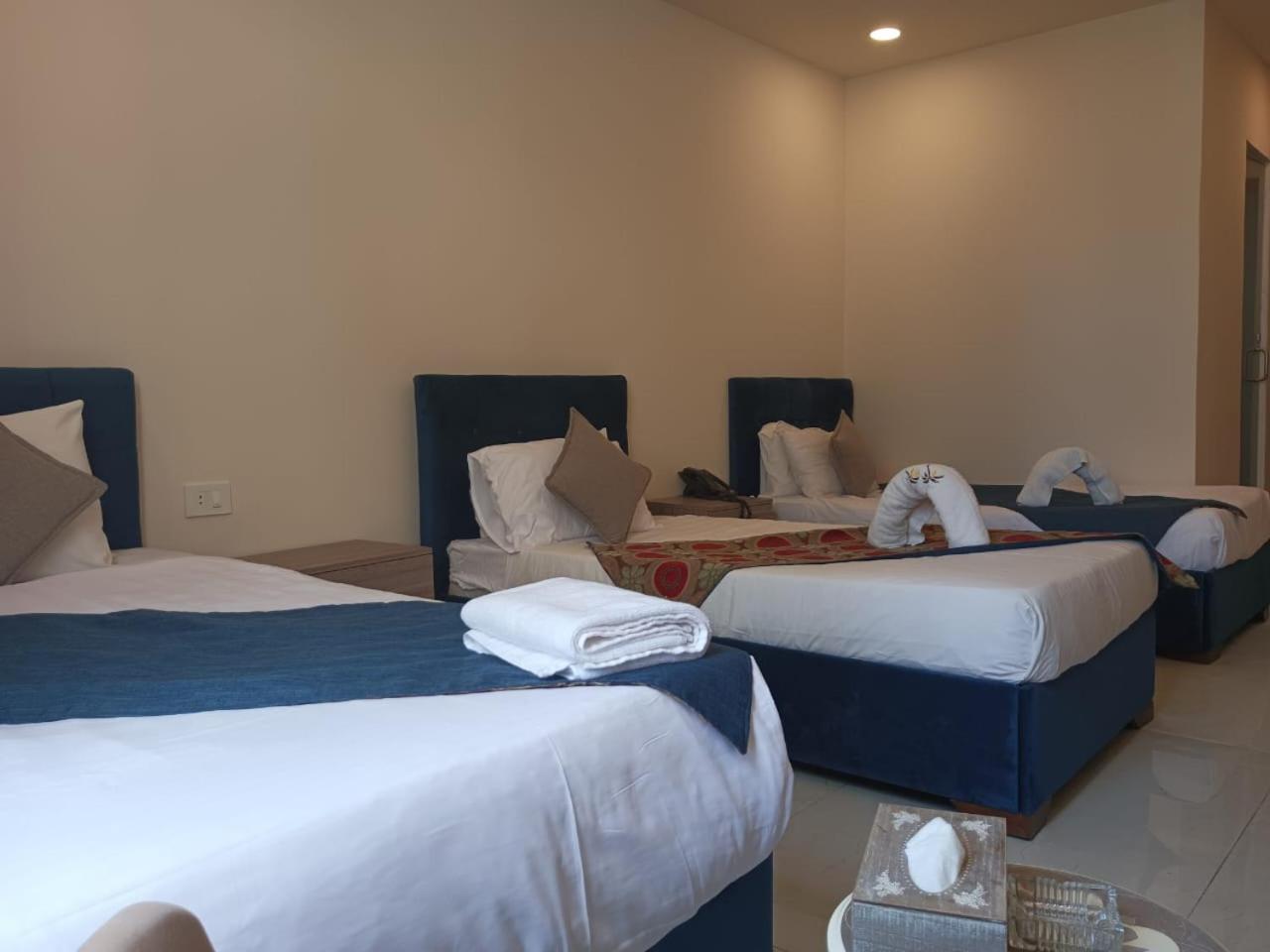 Deluxe Triple Room photo 3