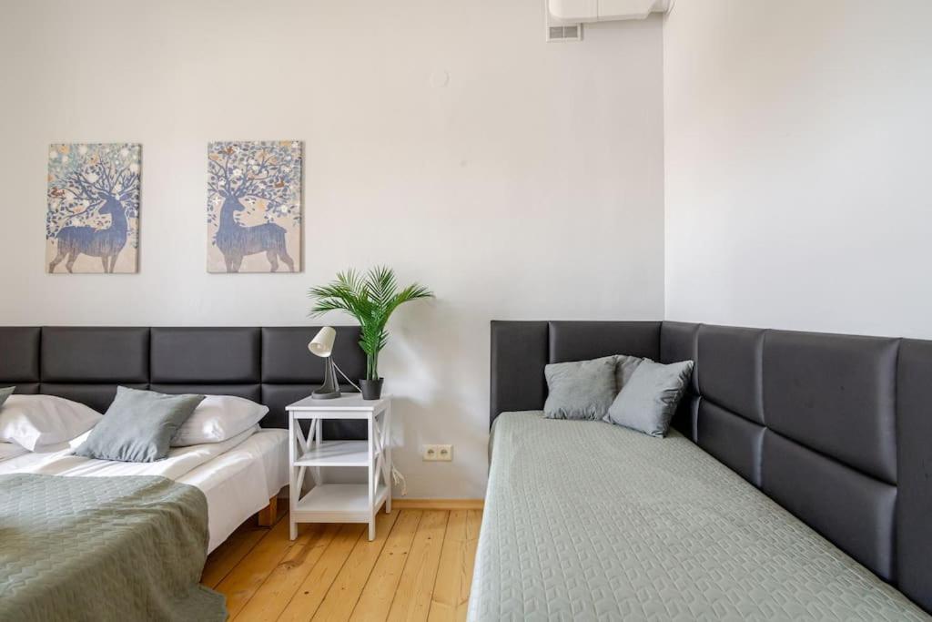 Standard Apartment - Photo 28