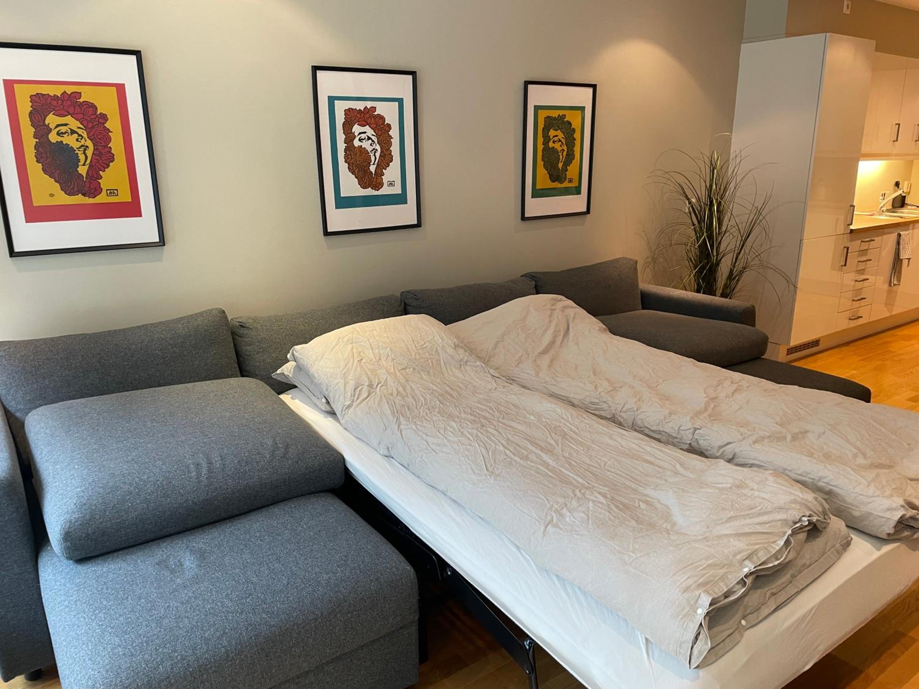 One-Bedroom Apartment photo 1
