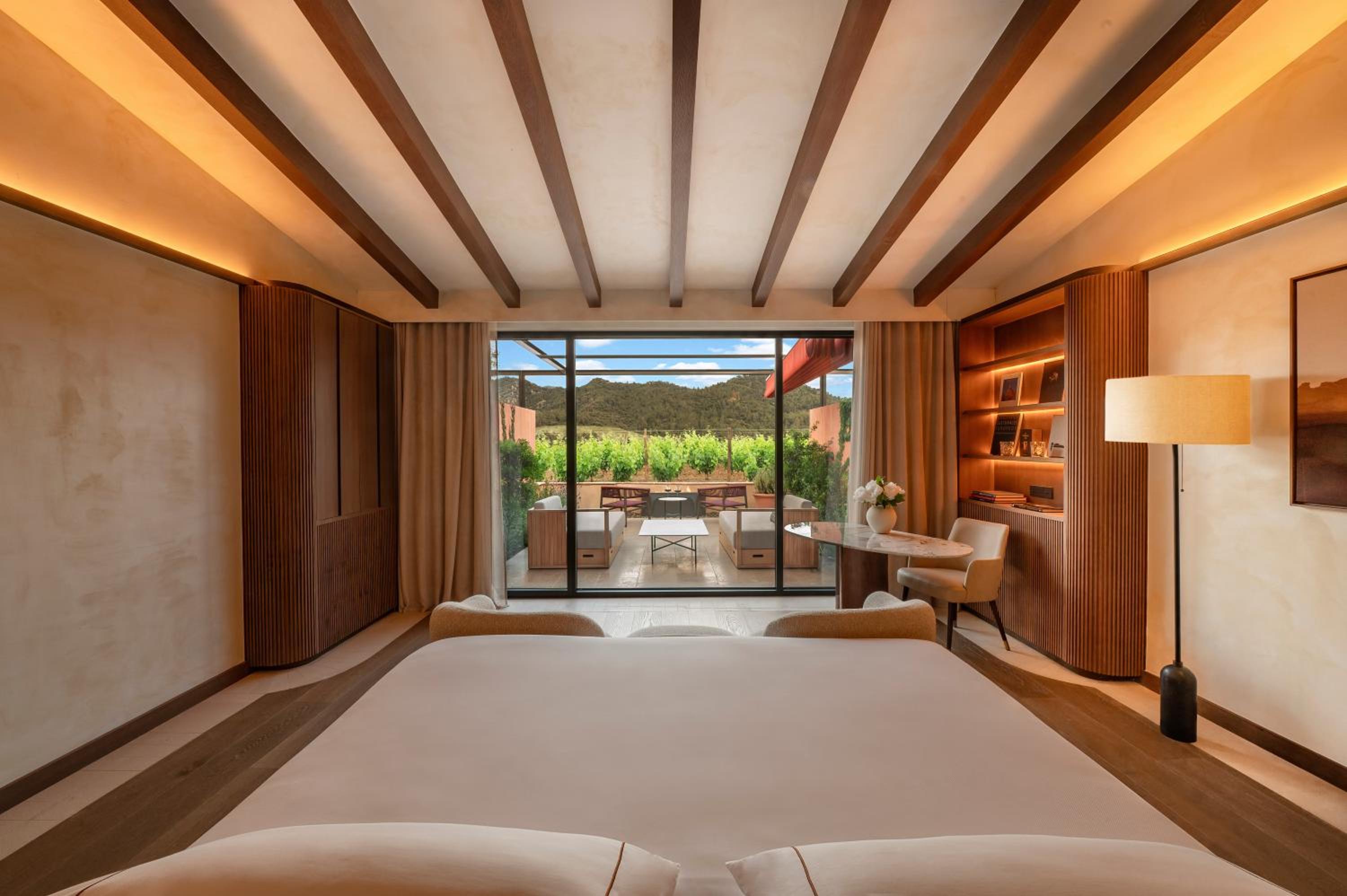 Deluxe Suite - Photo 14