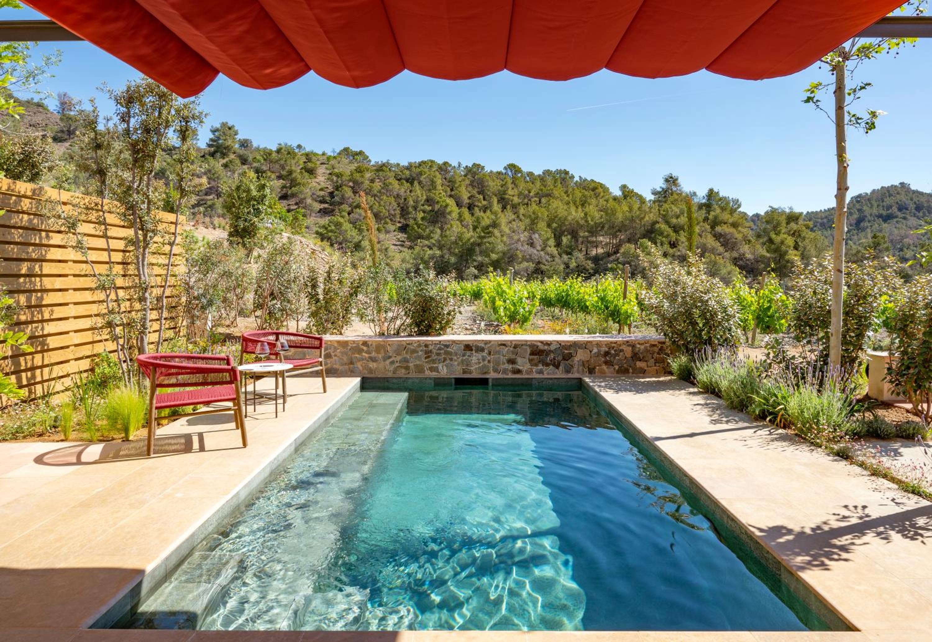 Suite with Private Pool photo 3