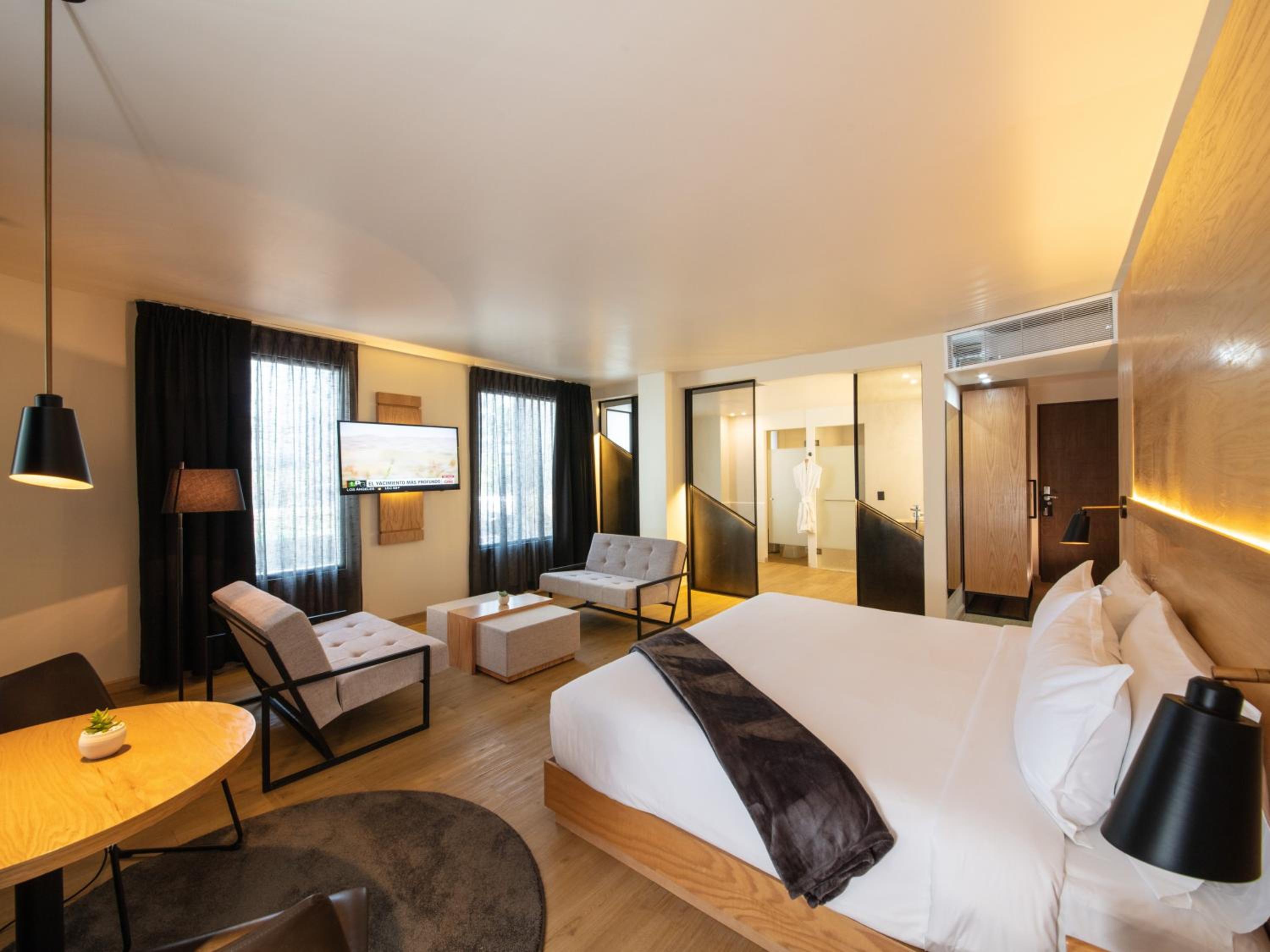 King Suite - Photo 6