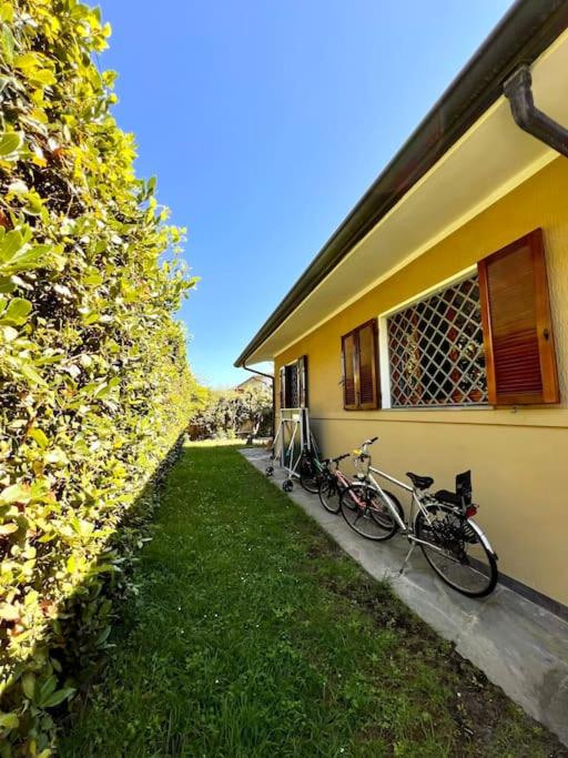 Four-Bedroom House photo 3
