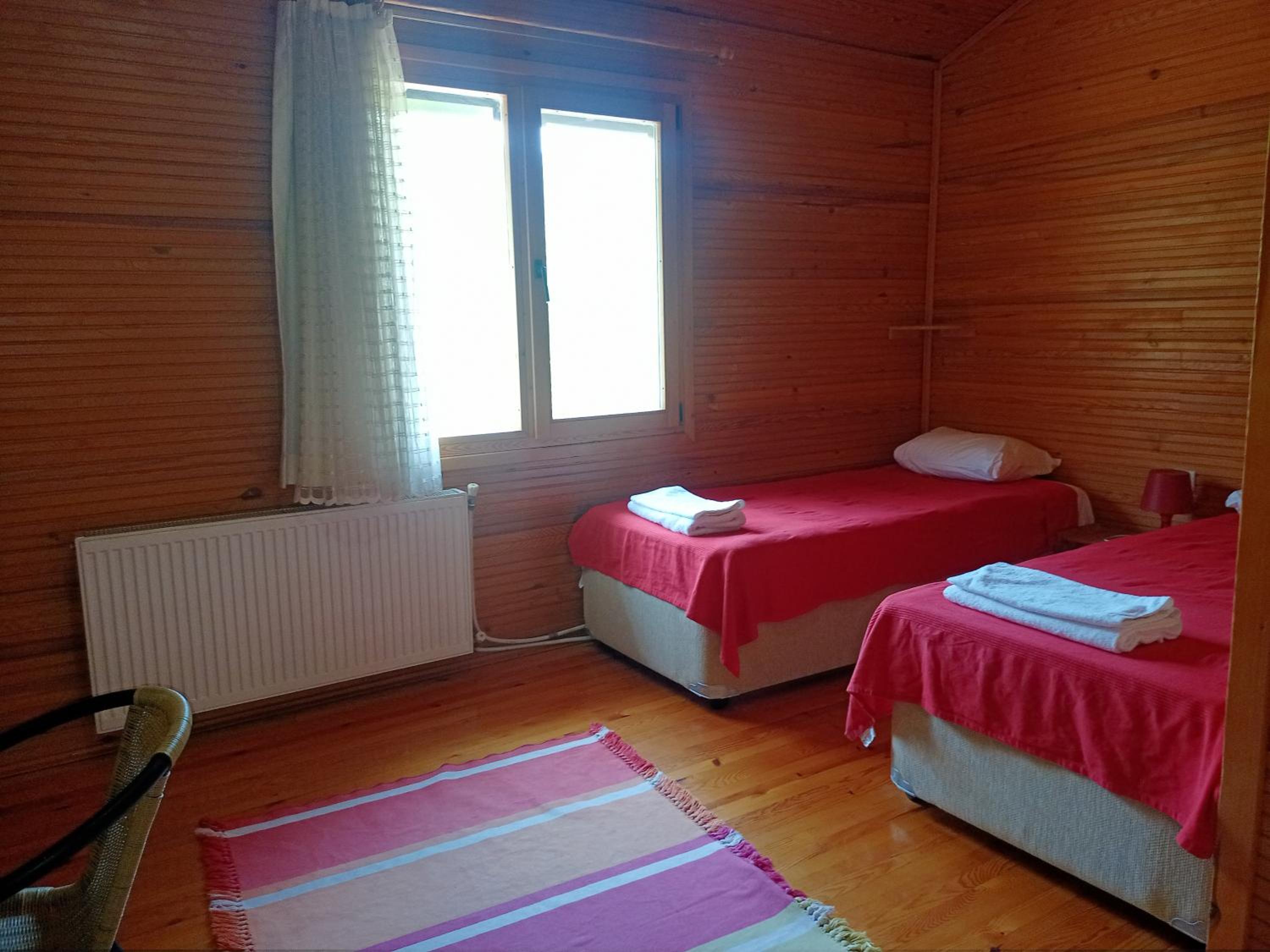 Twin Room photo 3